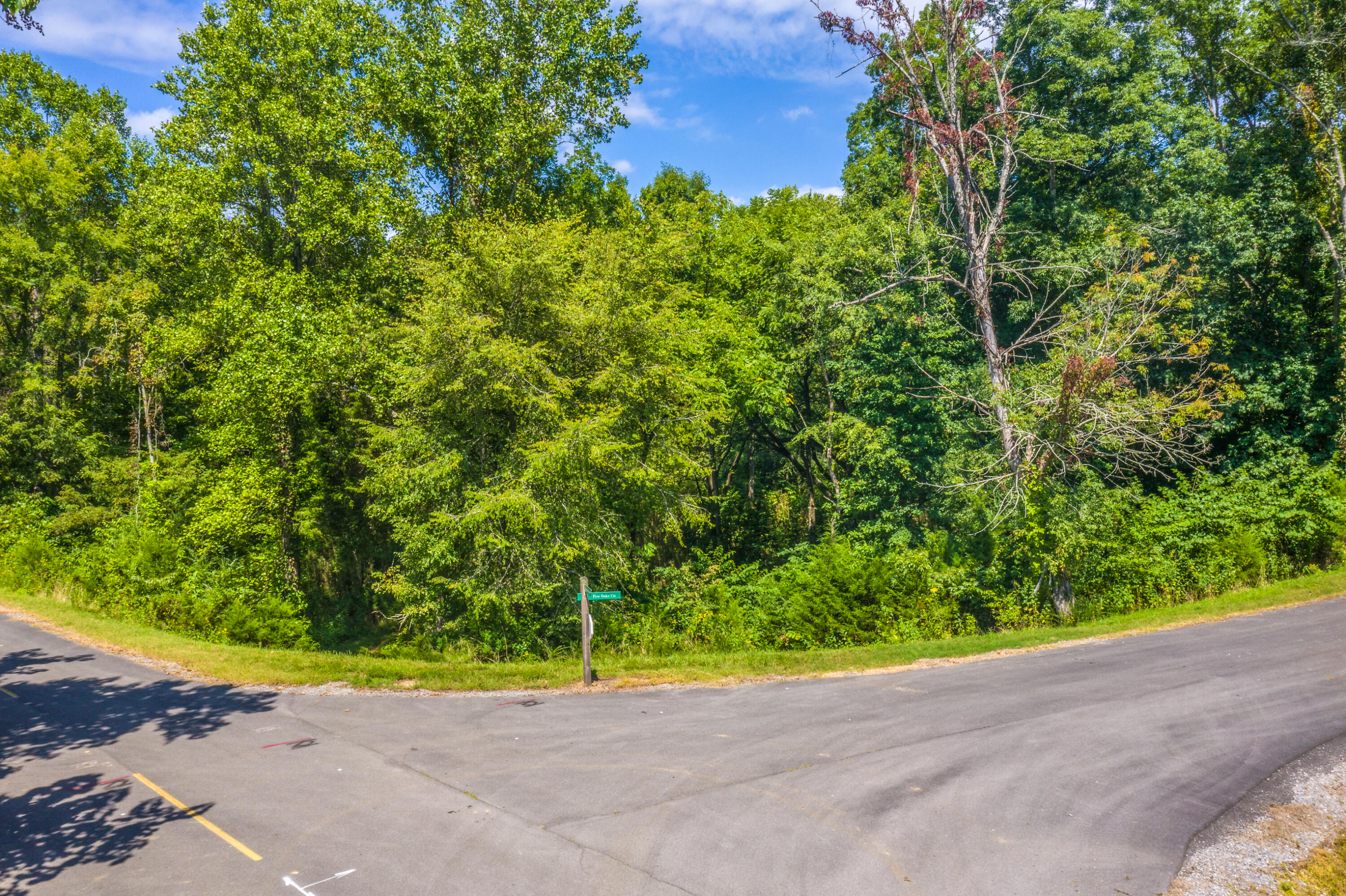 Lot 30 Walnut Bend Drive Property Photo 1