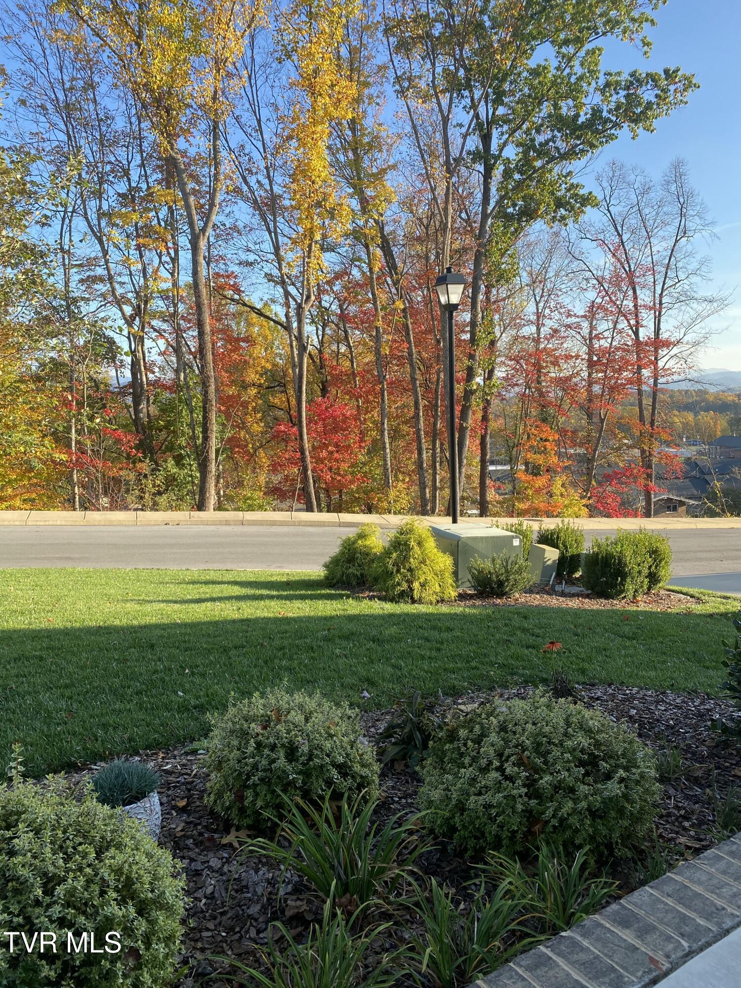 365 English Ivy Trail Property Photo 27