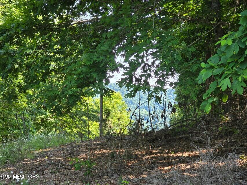 Tbd Union Church Road Property Photo 1