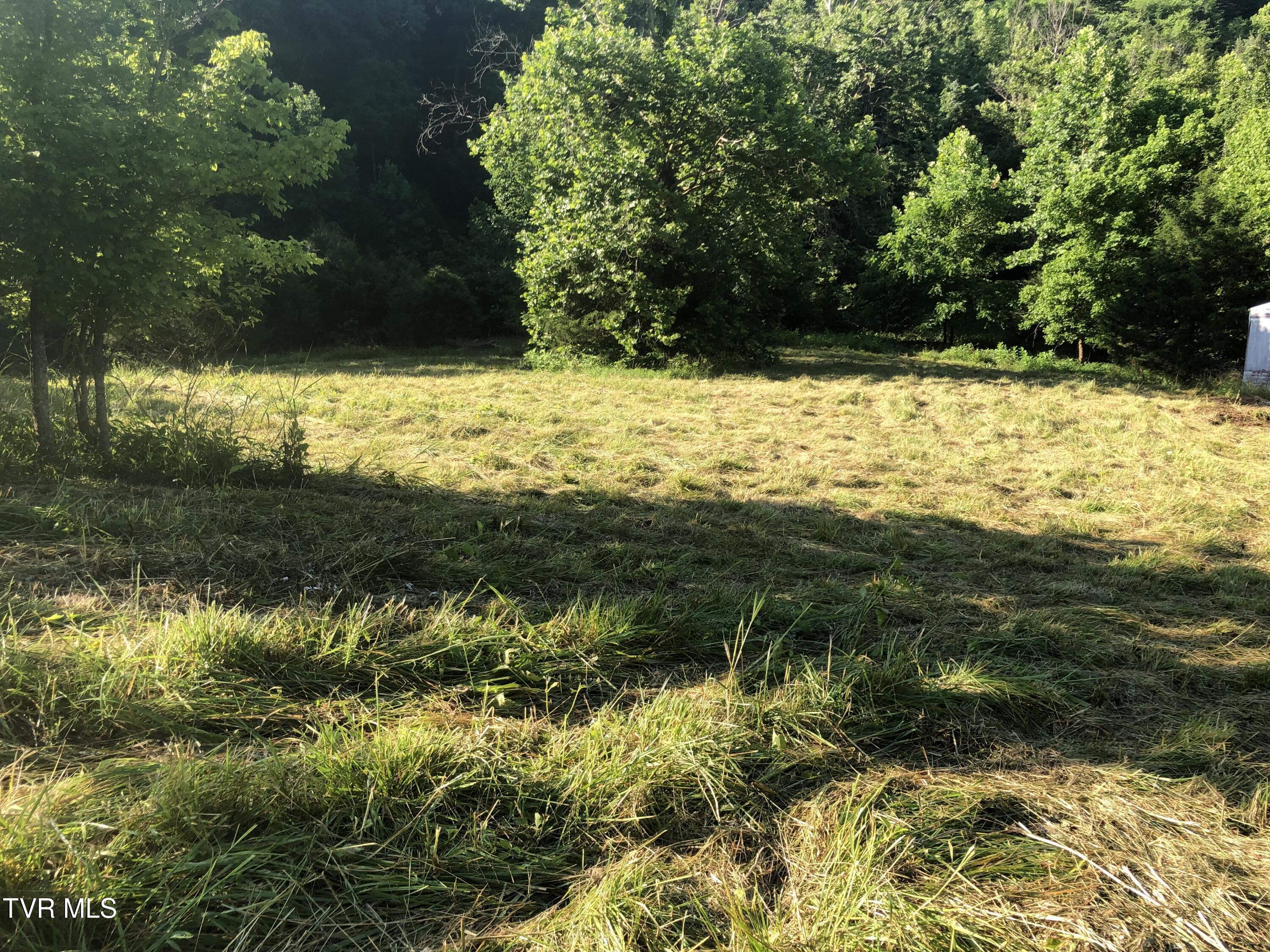 Tbd Gottland Shoals Road Property Photo 1