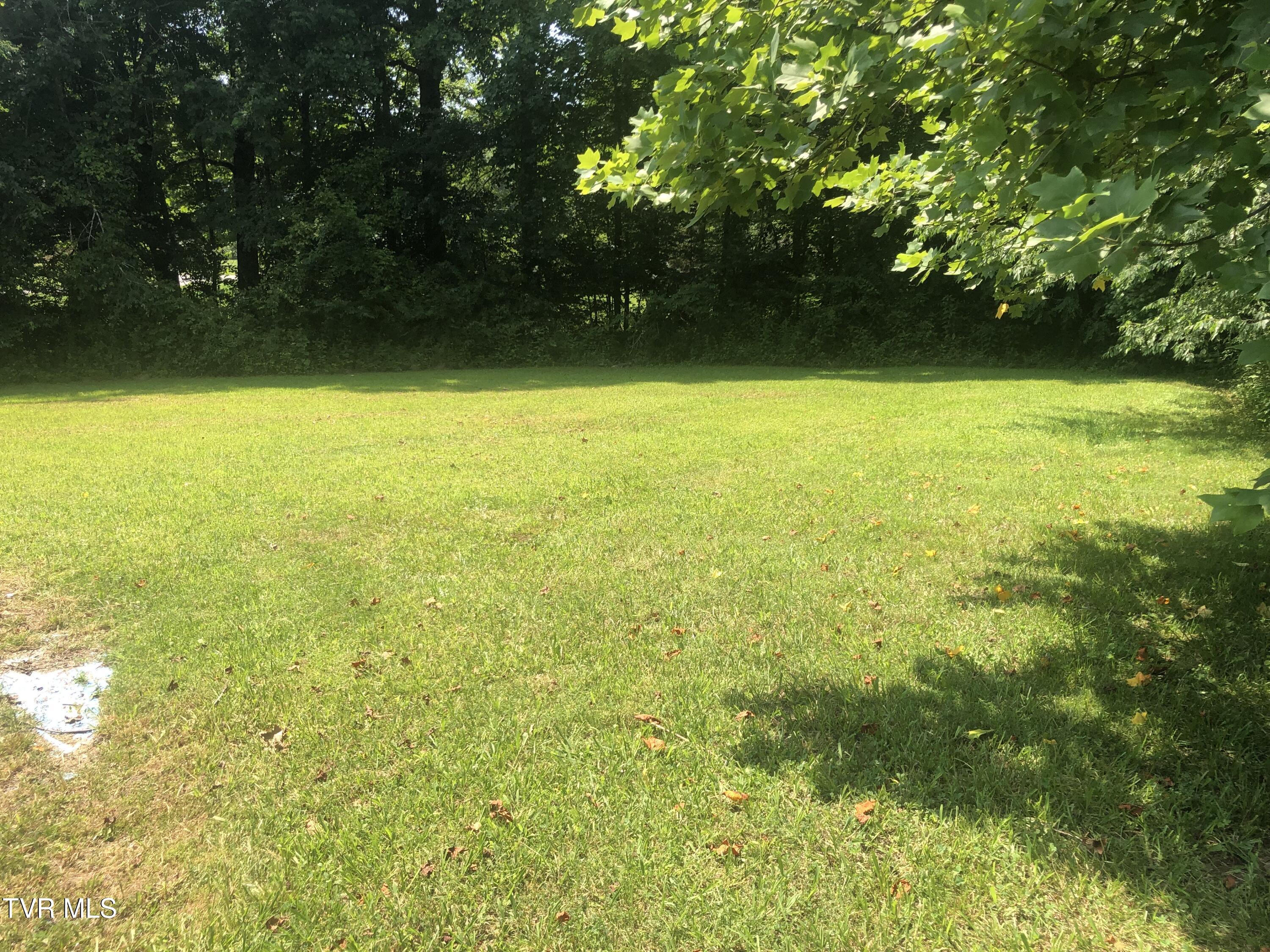 107 Love Blevins Lane Property Photo 4