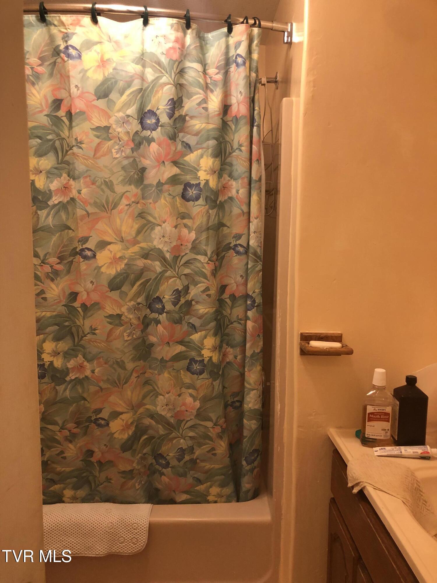 107 Love Blevins Lane Property Photo 17