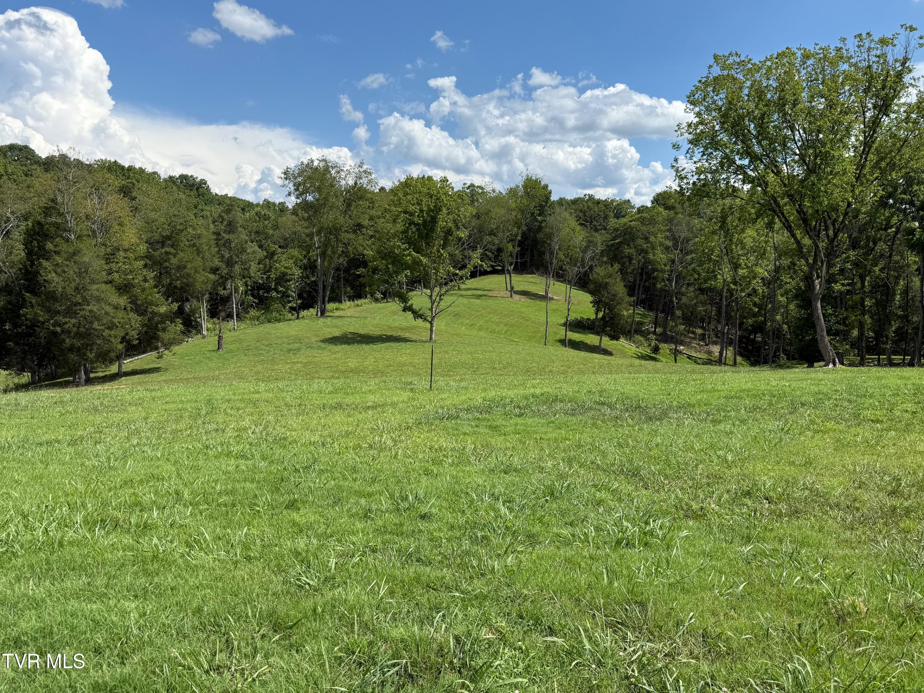 2246 Turkey Ridge Lane Drive Property Photo 1