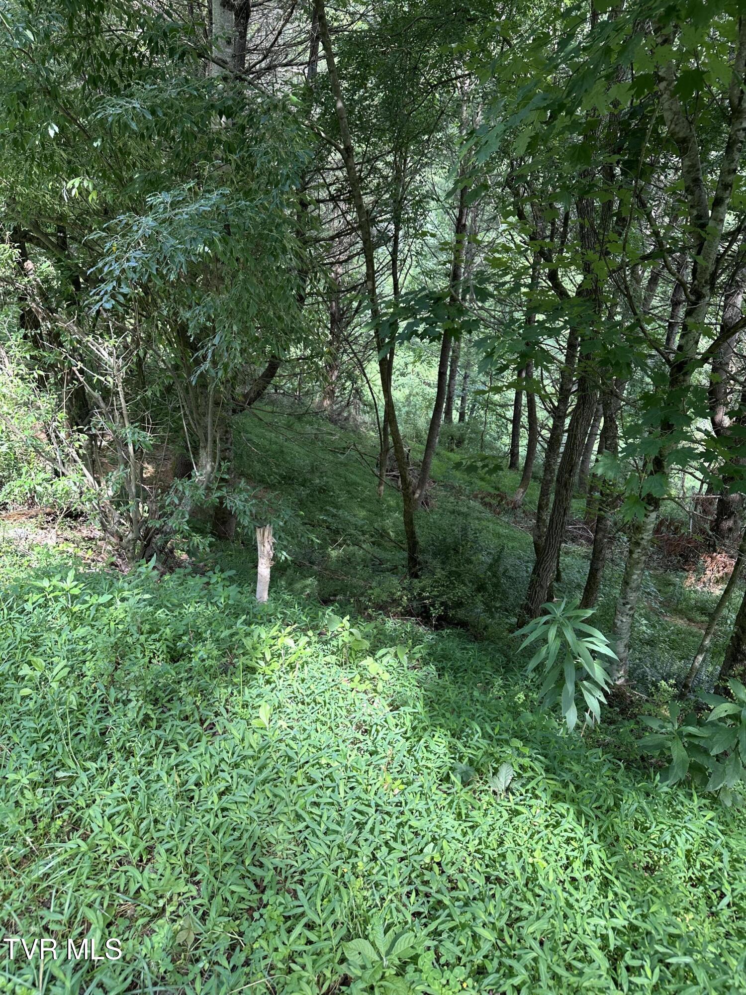 Lot 9 Laurelwood Lane Property Photo 1