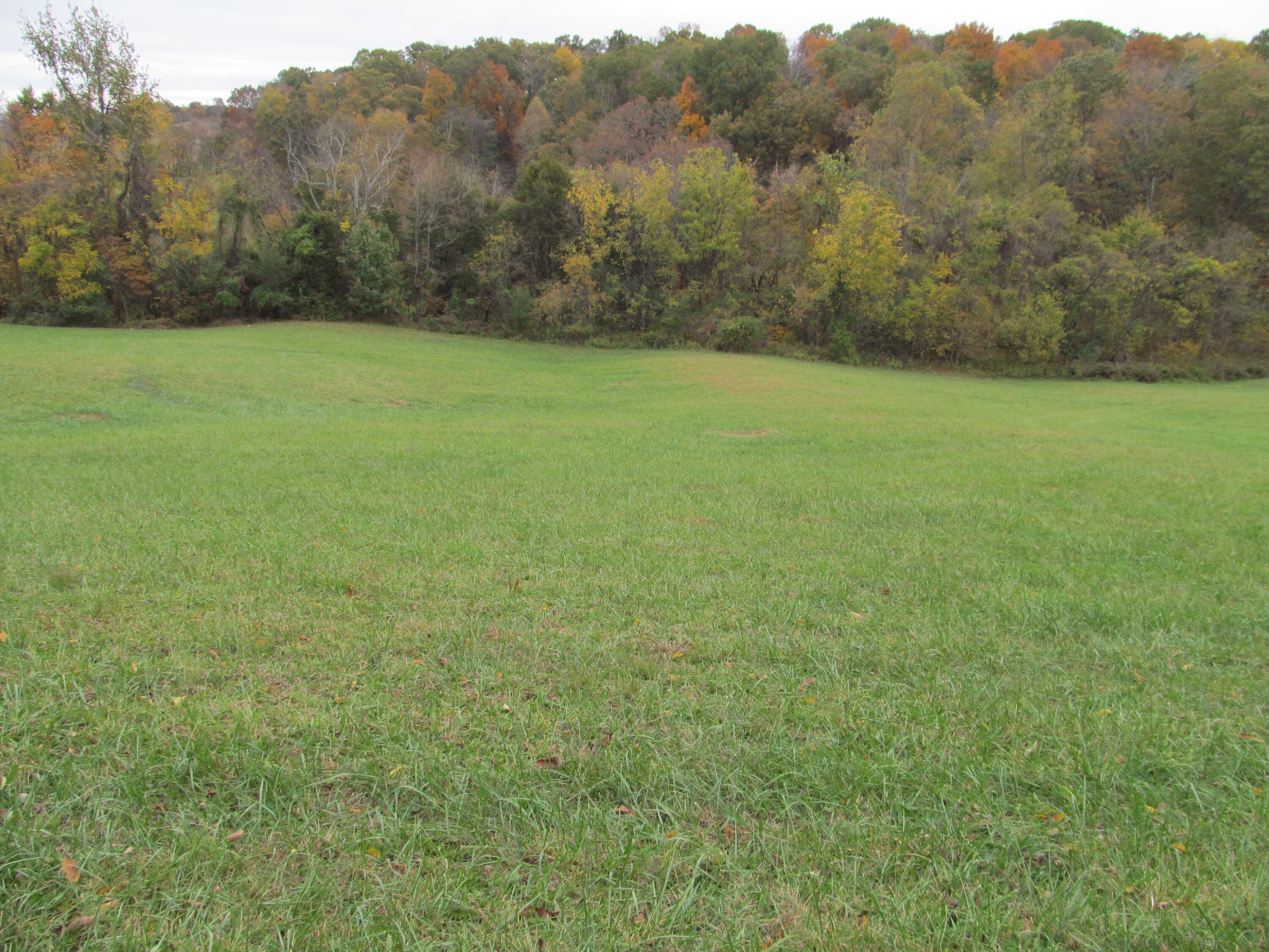 793 S Pickens Bridge Road Property Photo