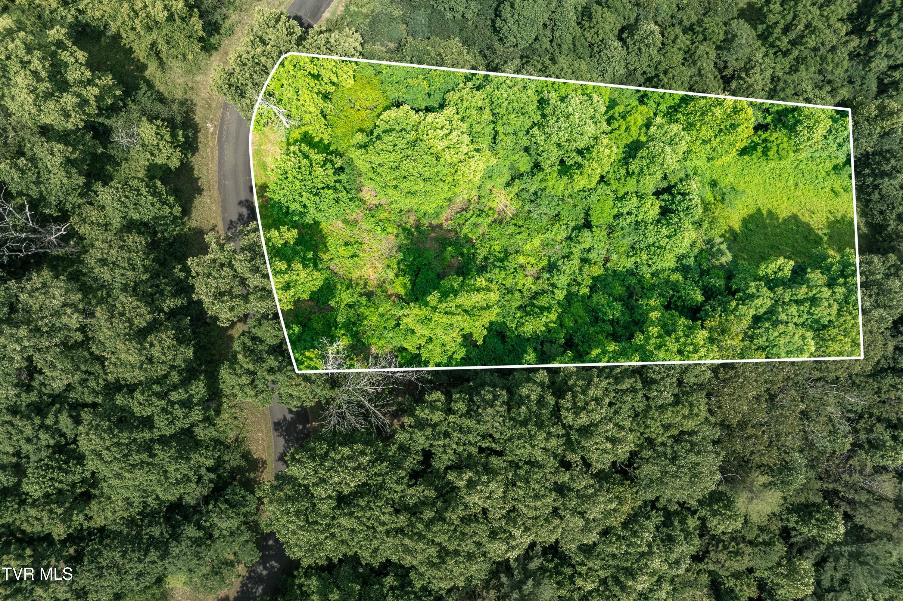 Lot 11 Lake Ridge Road Property Photo