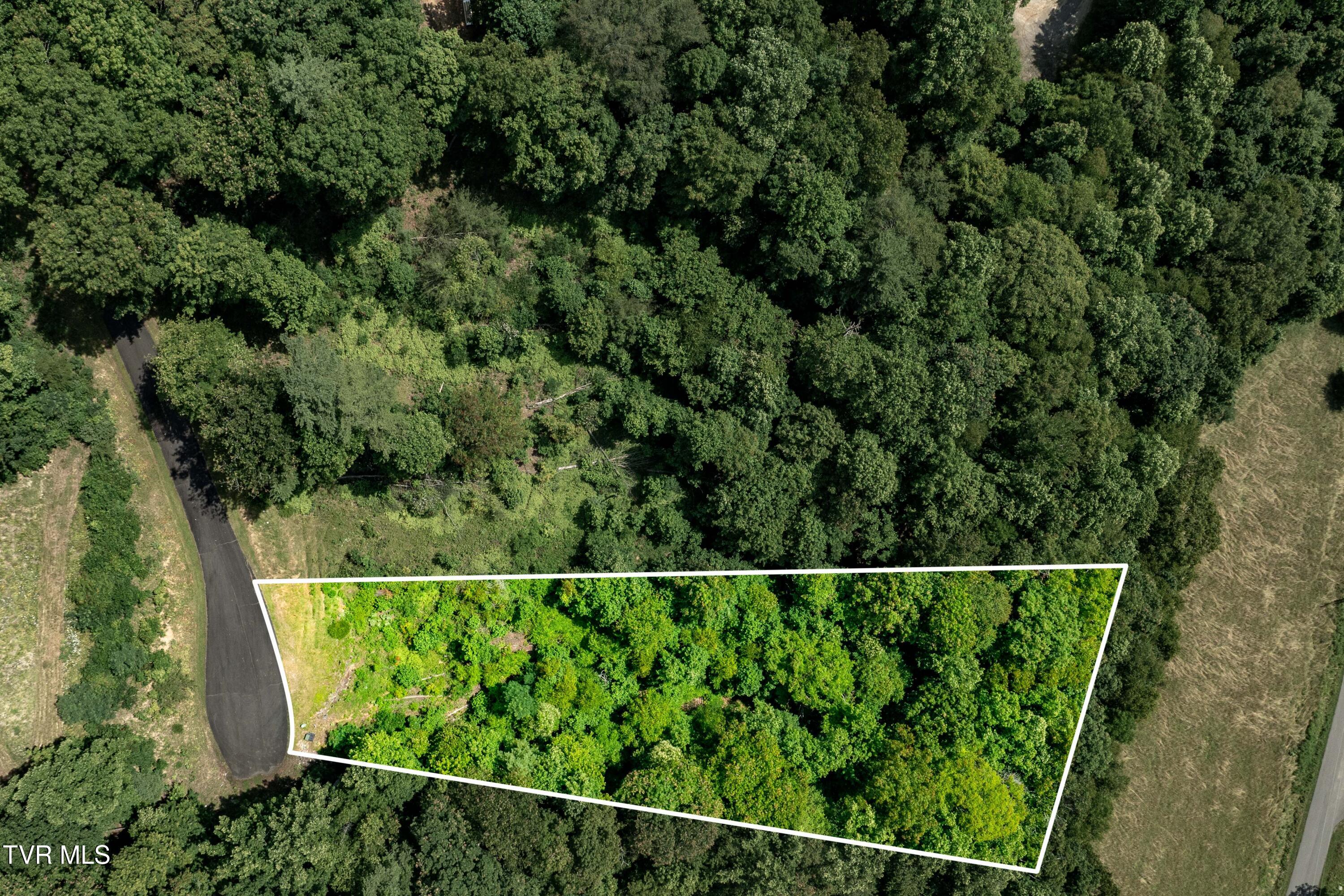 Lot 31 Lake Ridge Road Property Photo