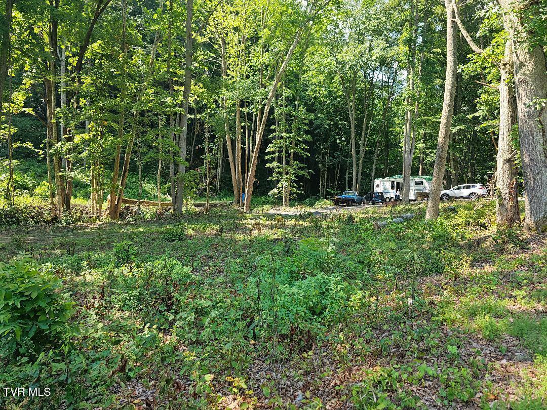 00 Irondale Road Property Photo 1