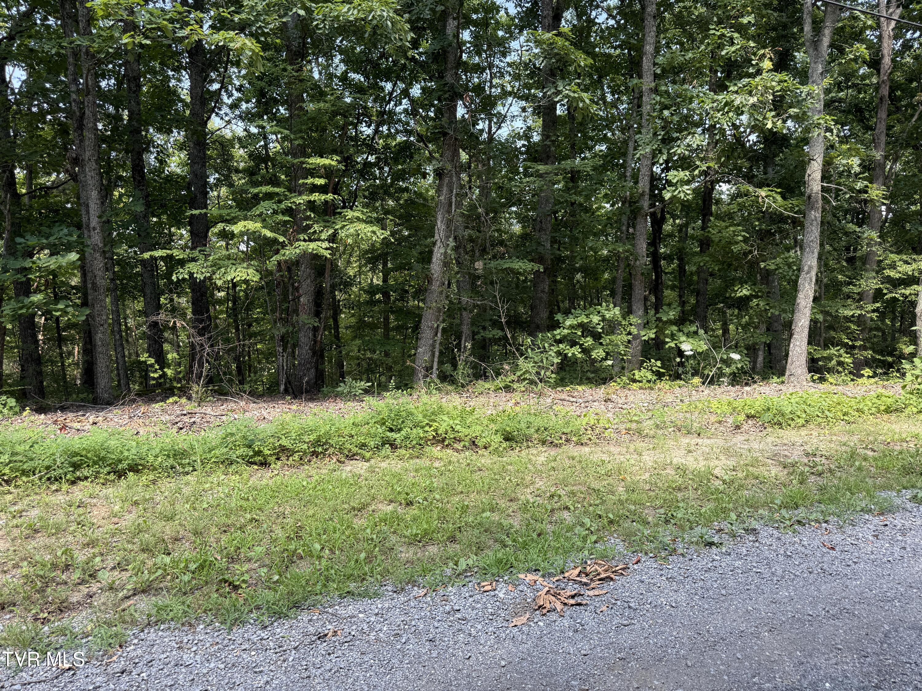 Lot 36 Pecan Tree Lane Property Photo