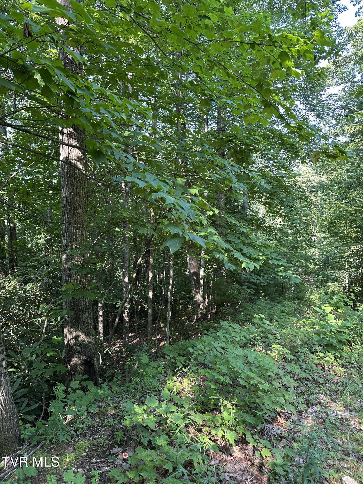 1501 Sprucy Ridge Private Road Property Photo 1