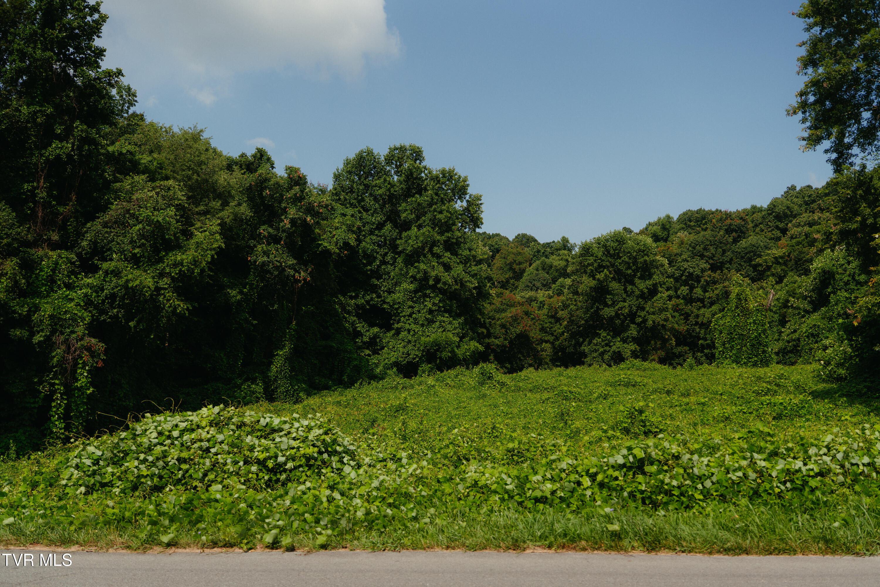 236 Rockhouse Road Property Photo 1
