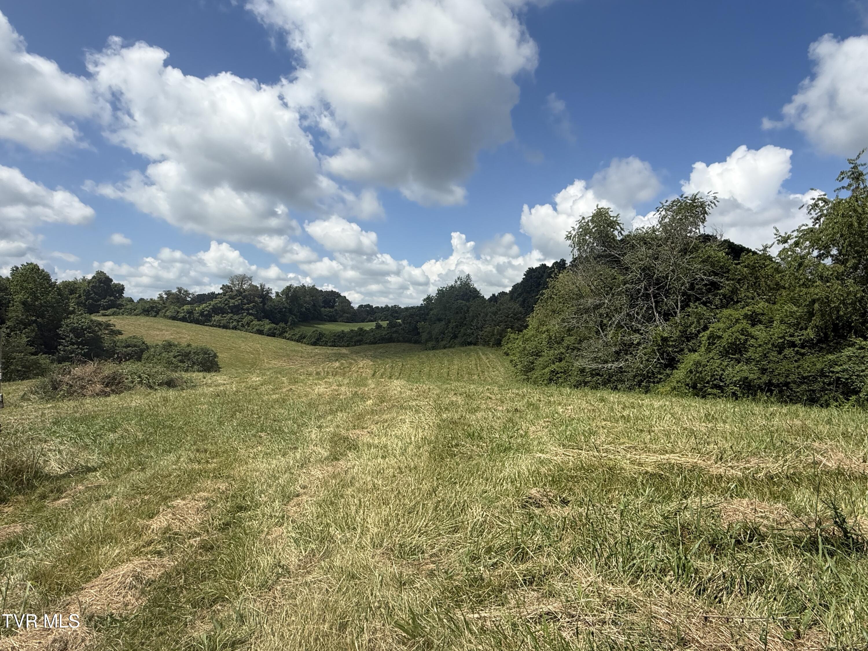 Tbd Forester Lane Property Photo