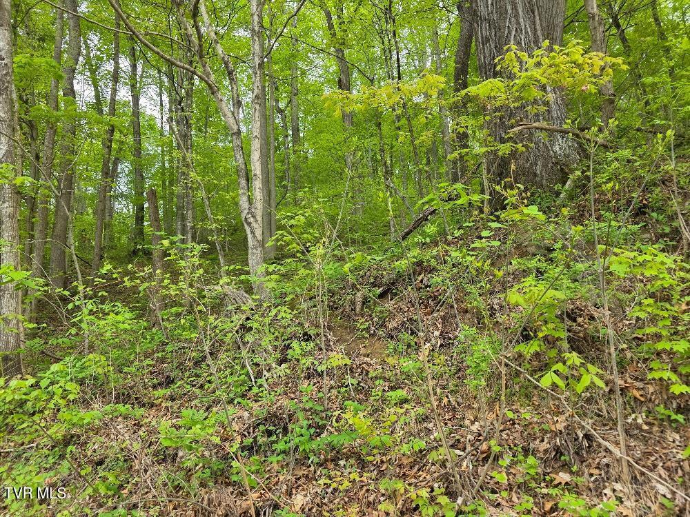 Tbd Garrison Hollow Property Photo 1