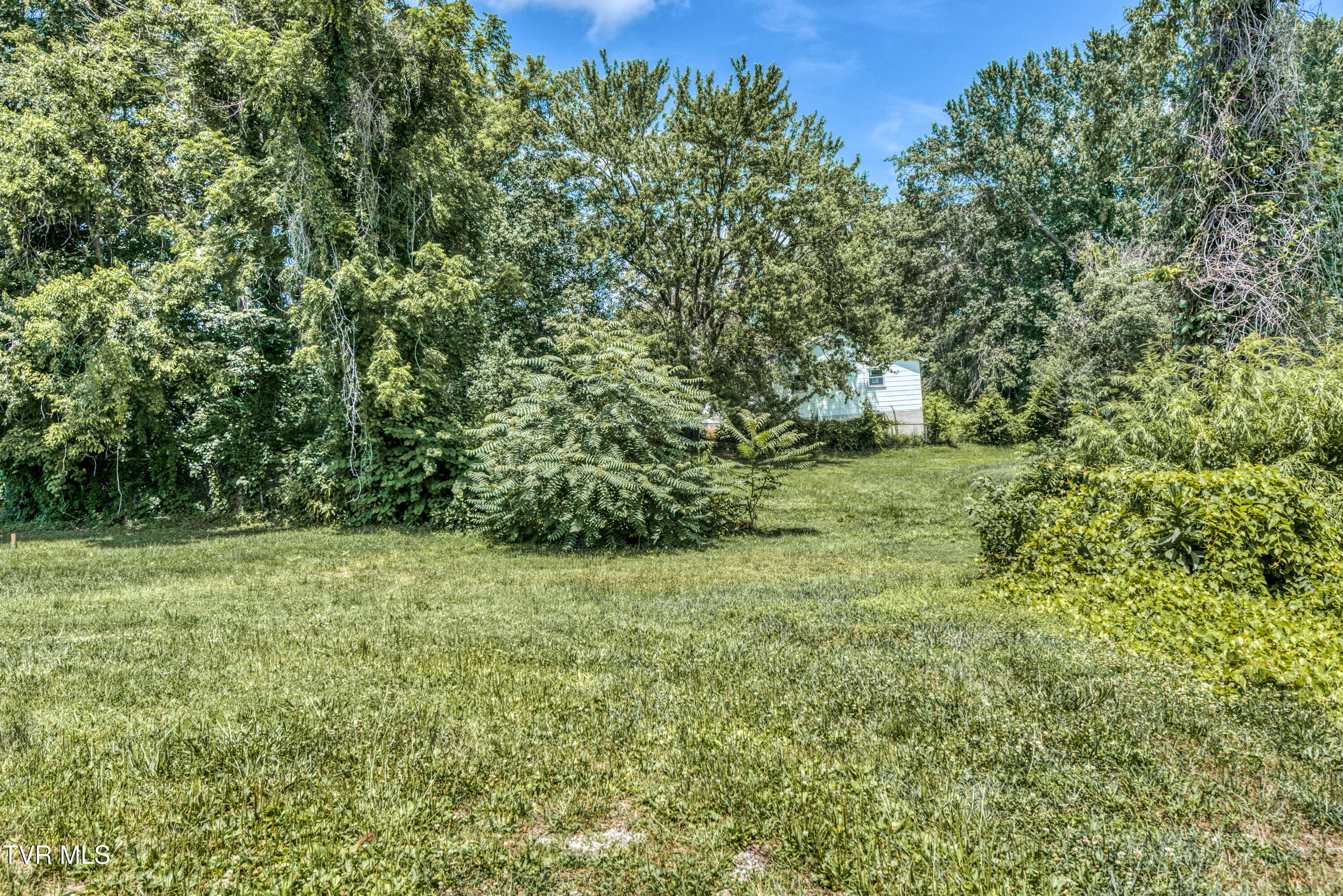 1723 Euclid Ave Avenue Property Photo 4