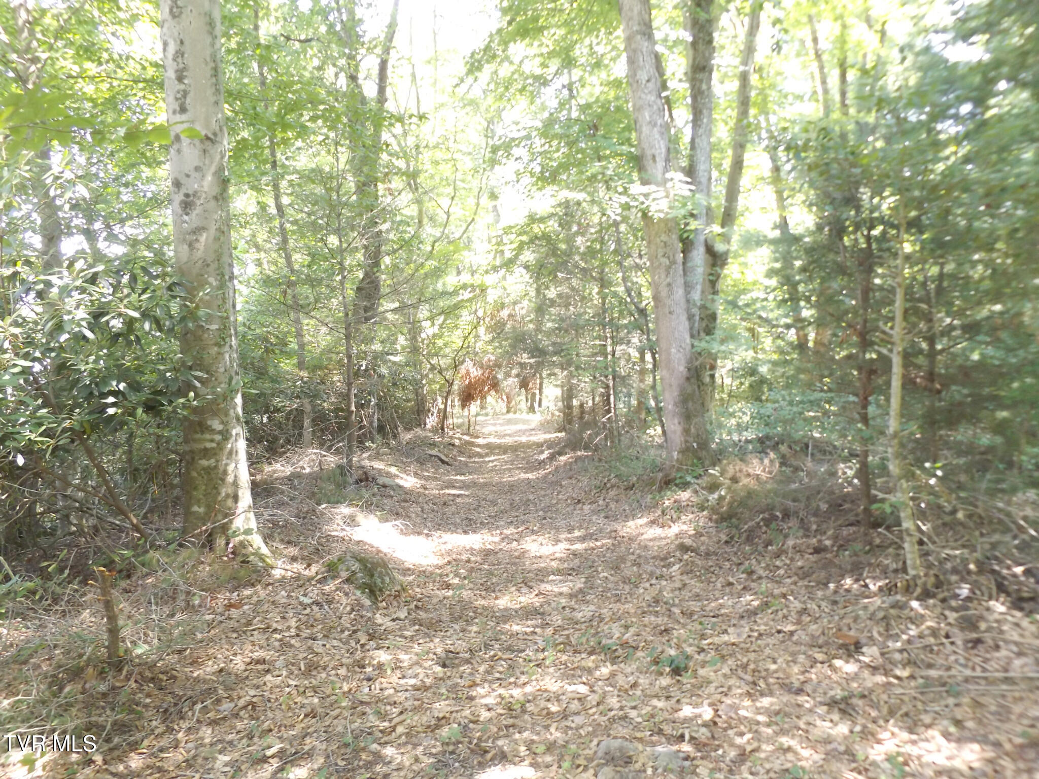 Tbd Gunsmoke Hollow Drive Property Photo 1