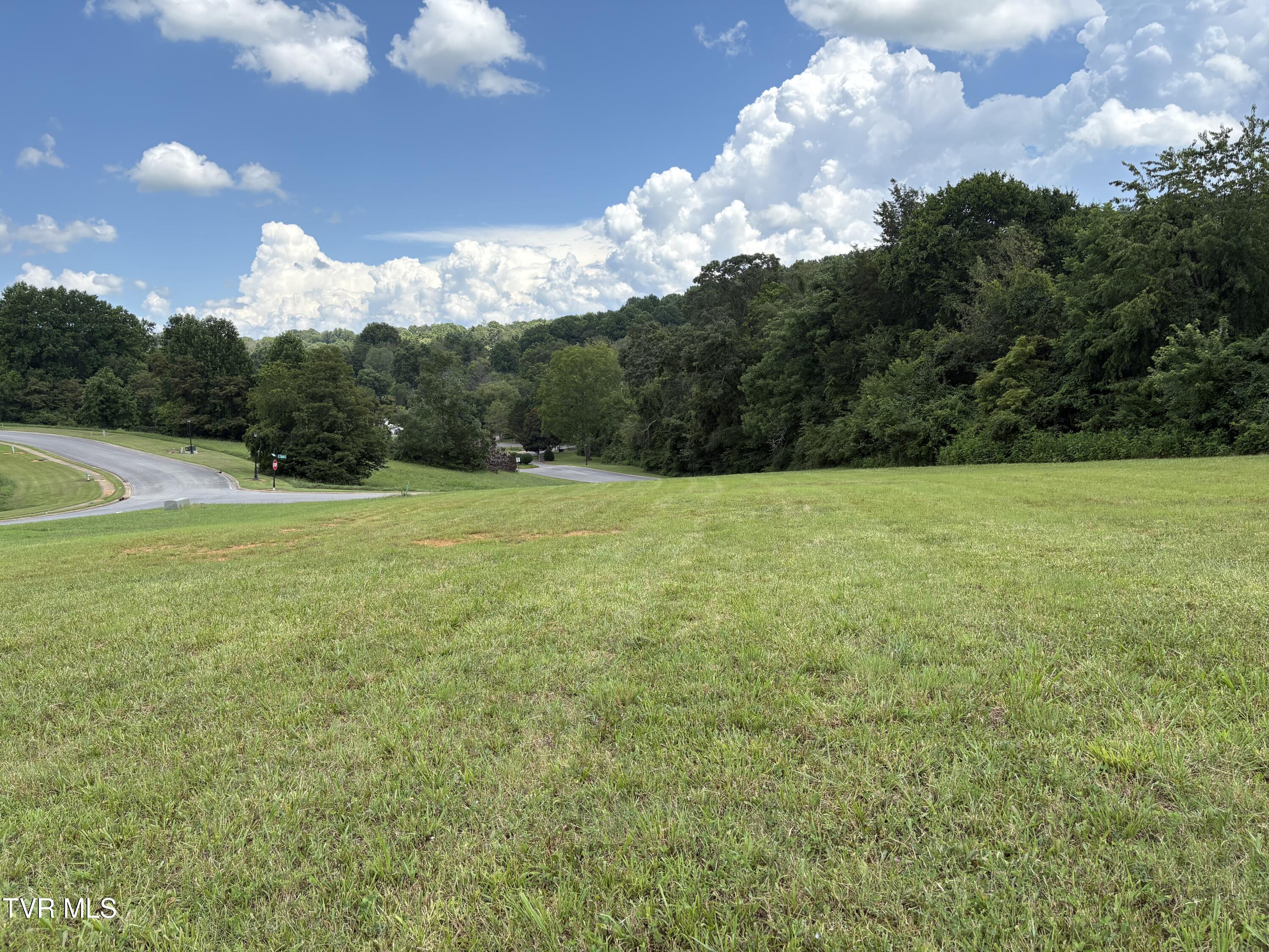 .92 Ac Bedford Circle Property Photo 1
