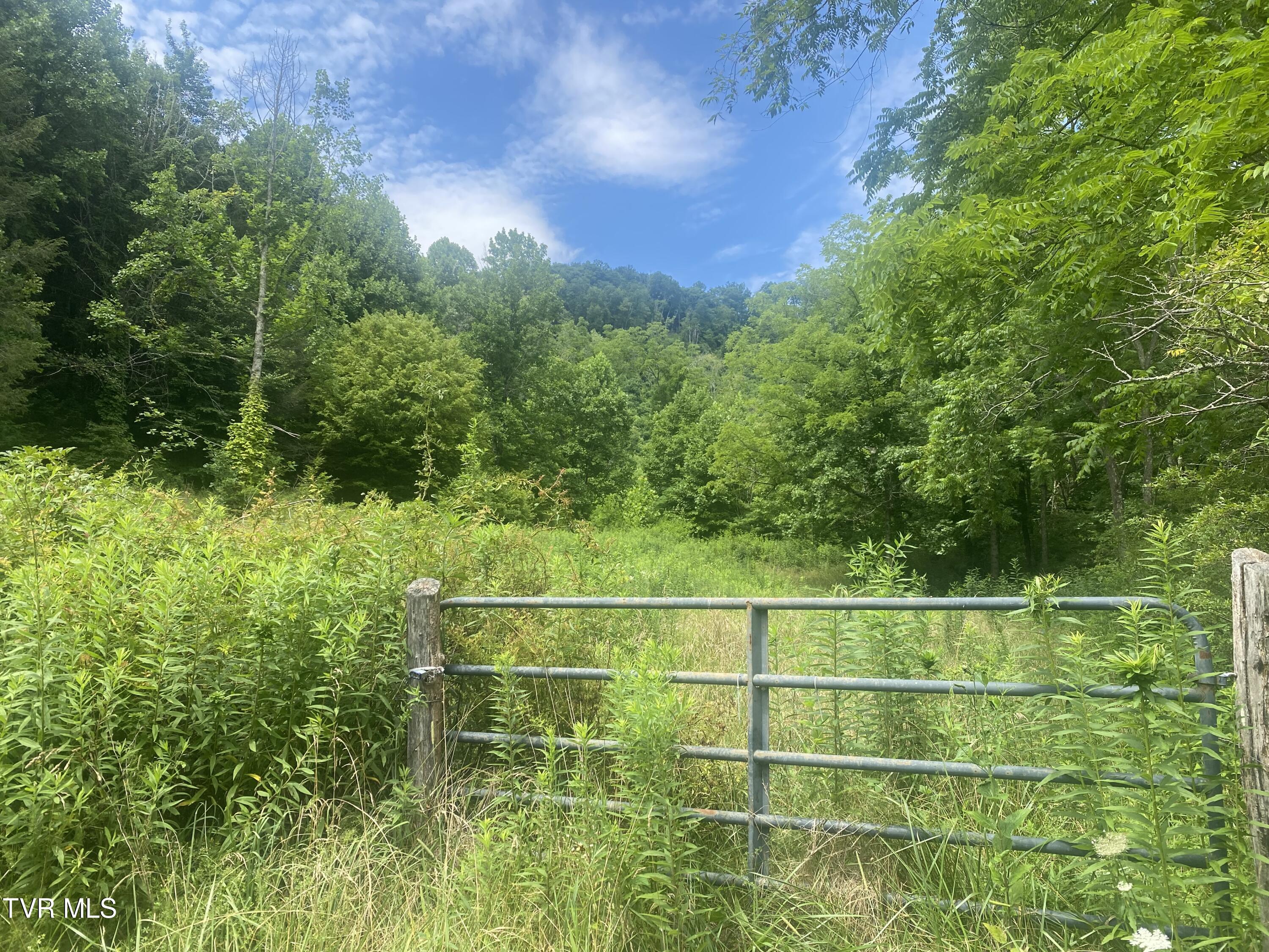 638 Old Hwy 143 Property Photo 1