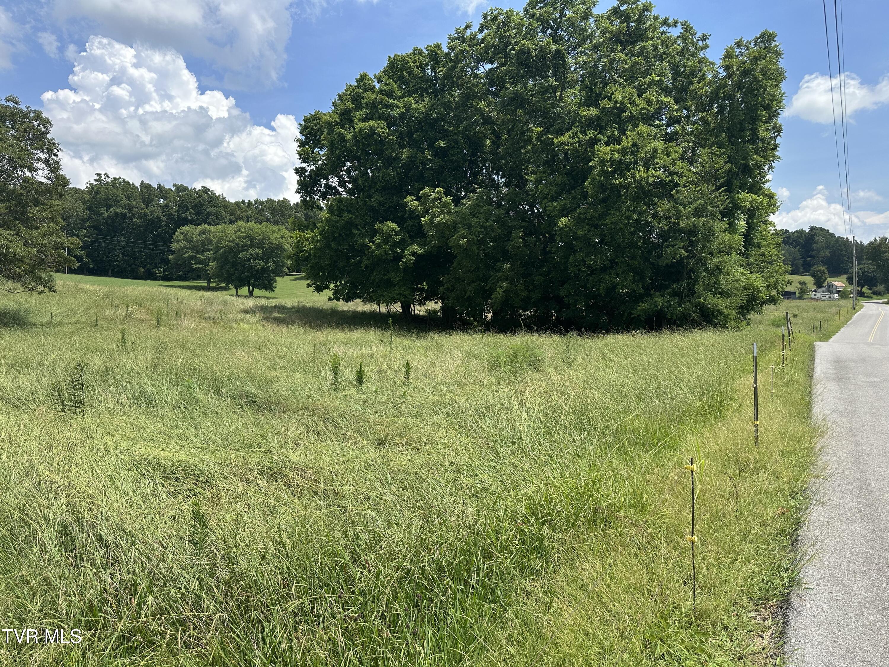 Lot 1 Shackleford Road Property Photo