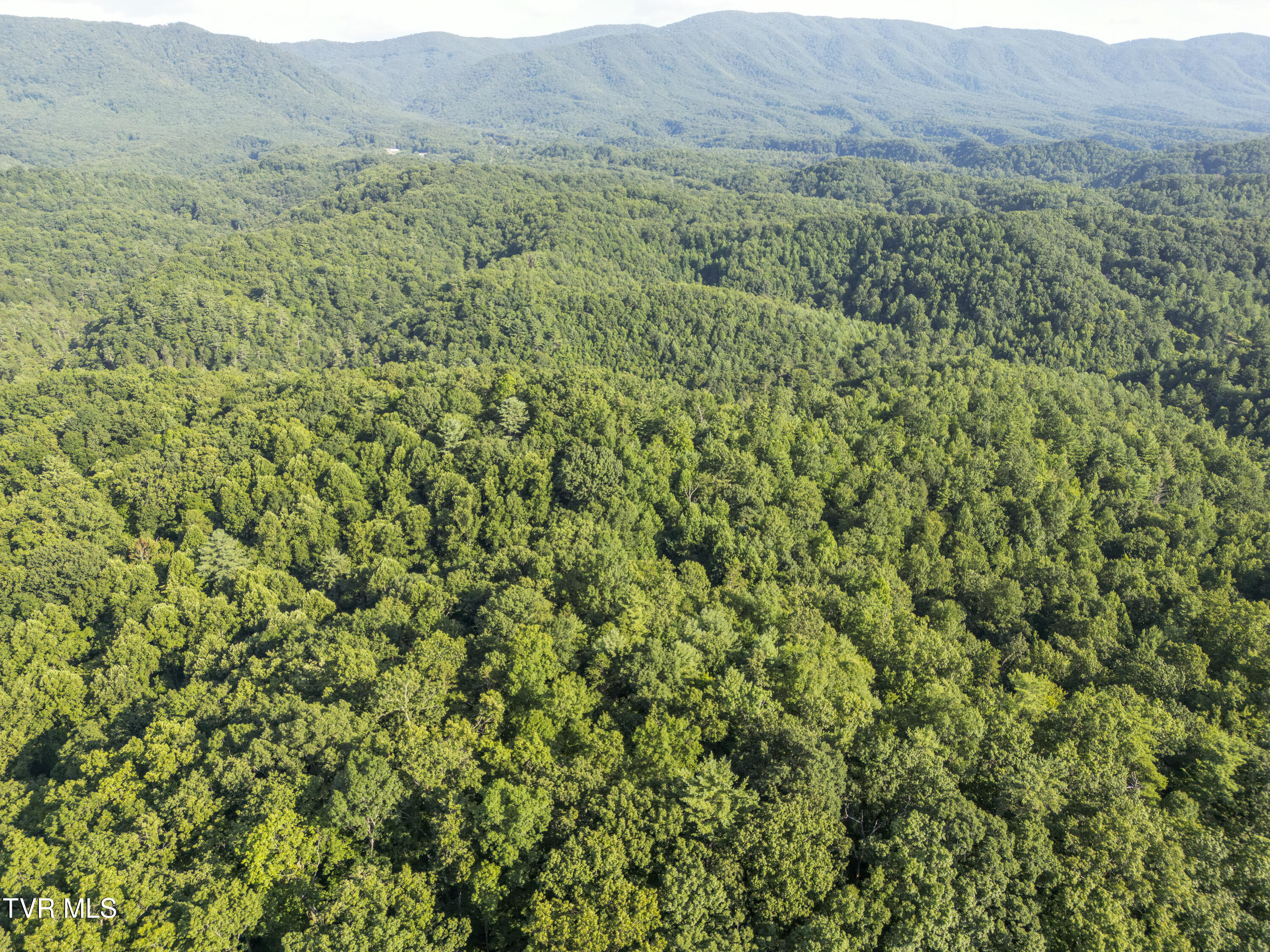 Tbd Patty Branch Road Property Photo