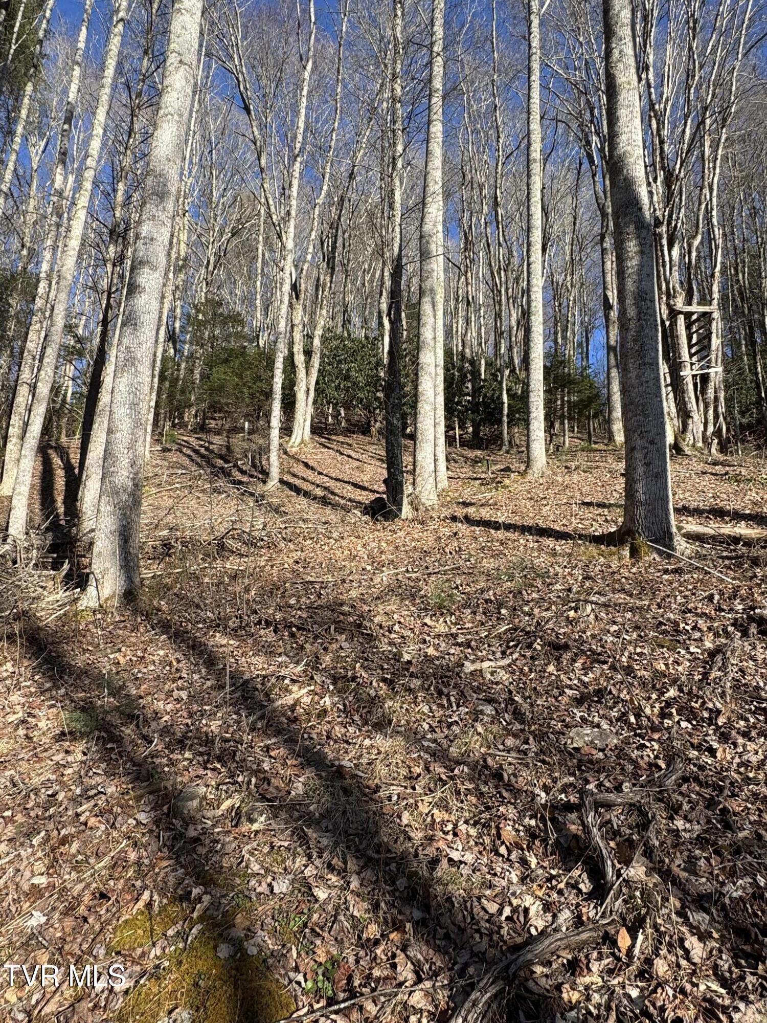 6020 Forge Creek Road Property Photo 1
