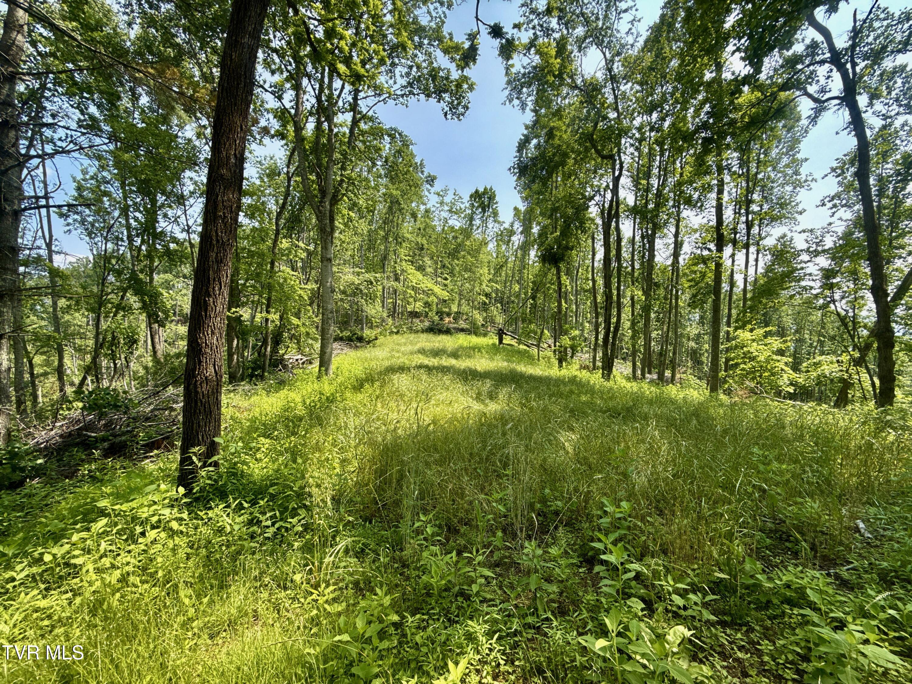 99/ac Tbd Nw Of Copperhead Hollow Road Property Photo 1