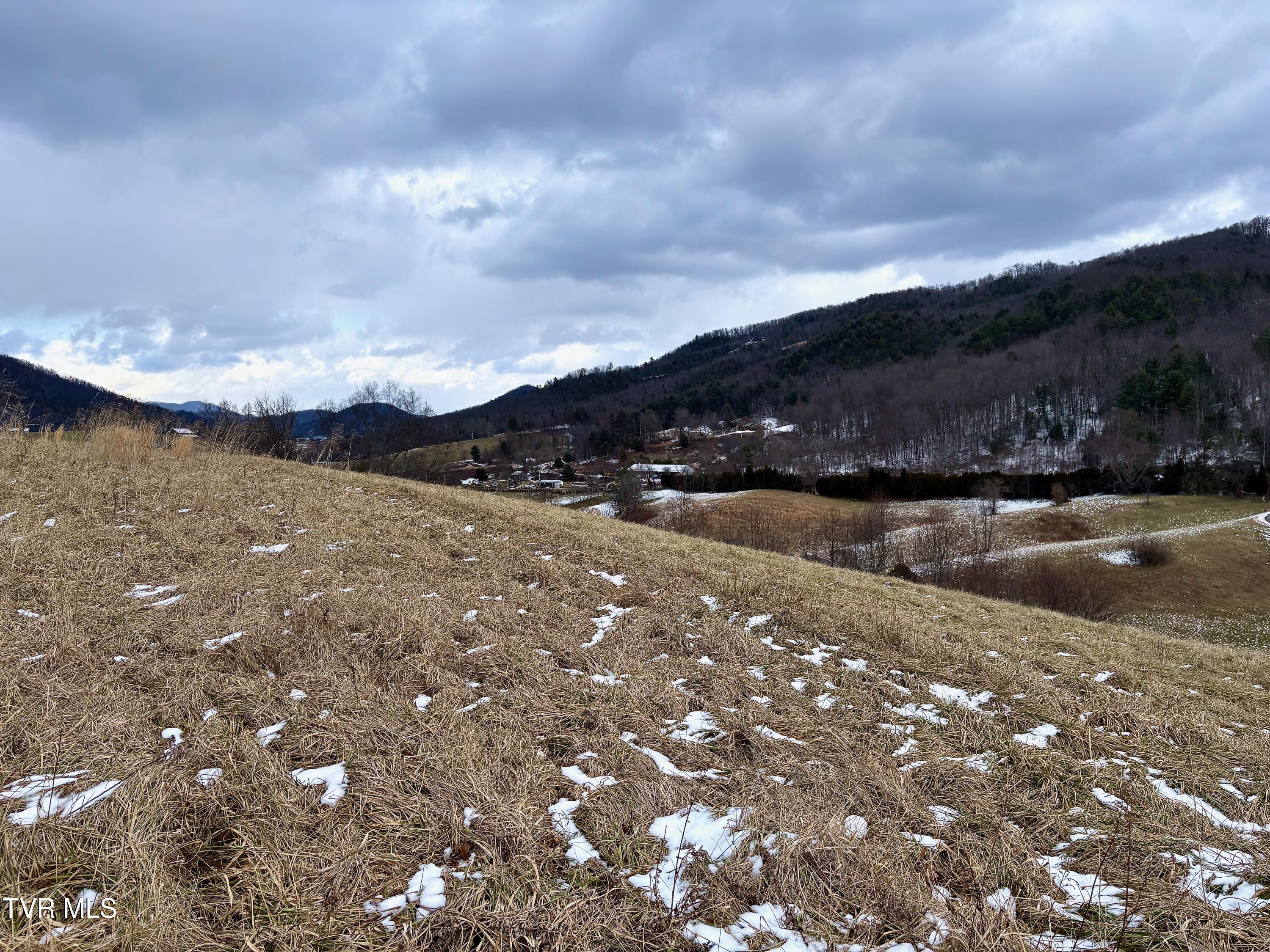 Tbd Maple Wood Drive Property Photo 3