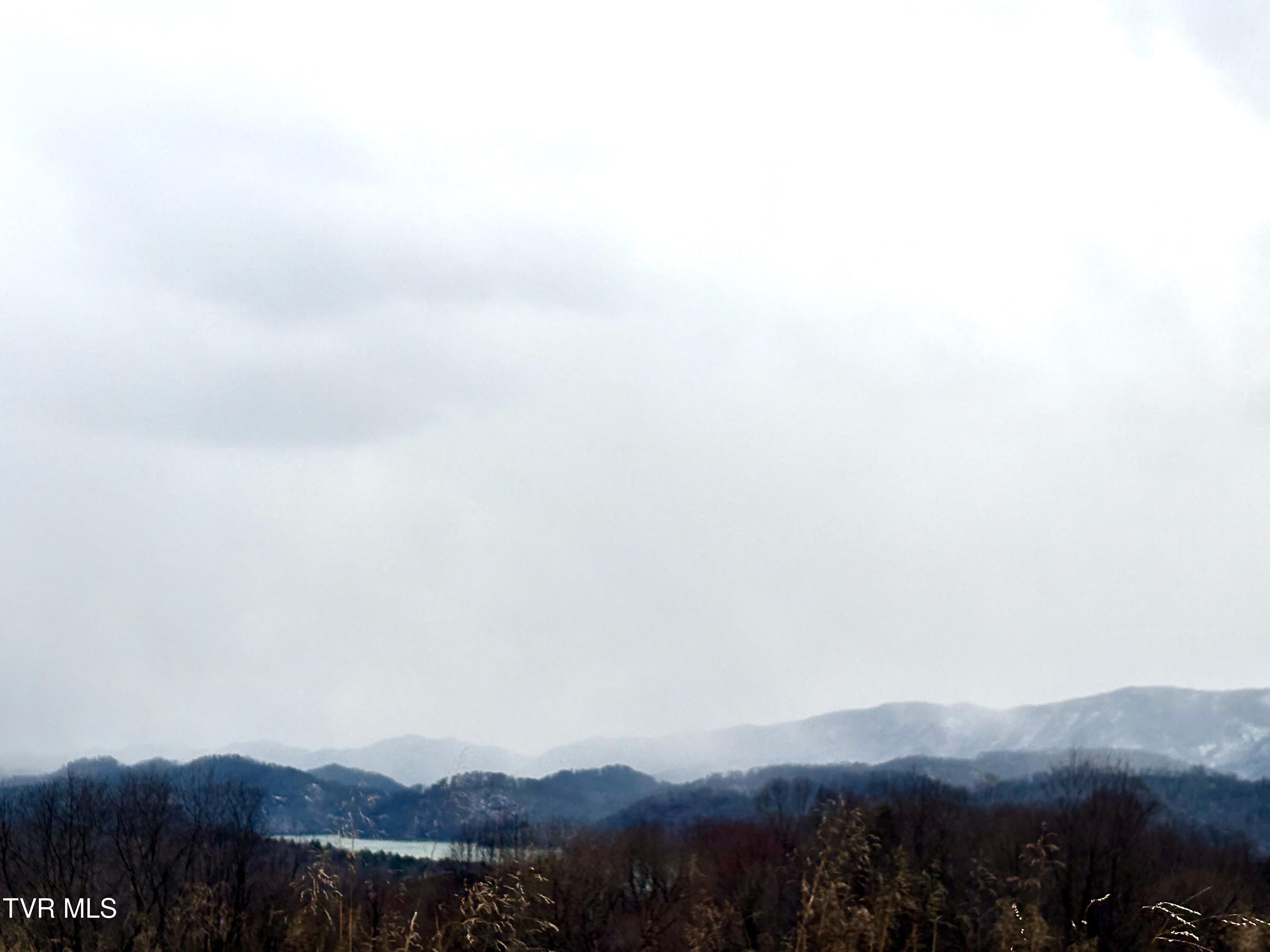 Tbd Maple Wood Drive Property Photo 9