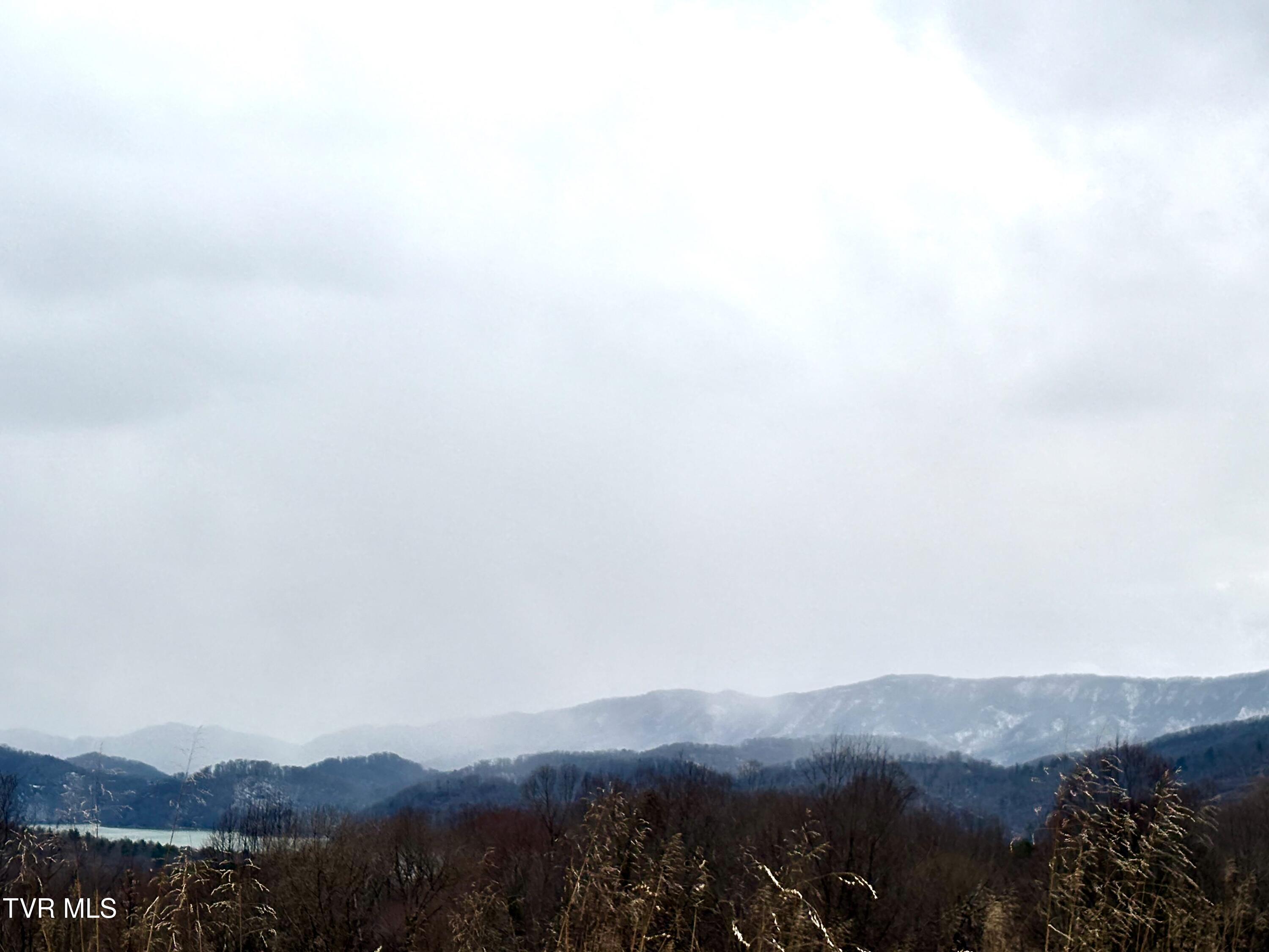 Tbd Maple Wood Drive Property Photo 10