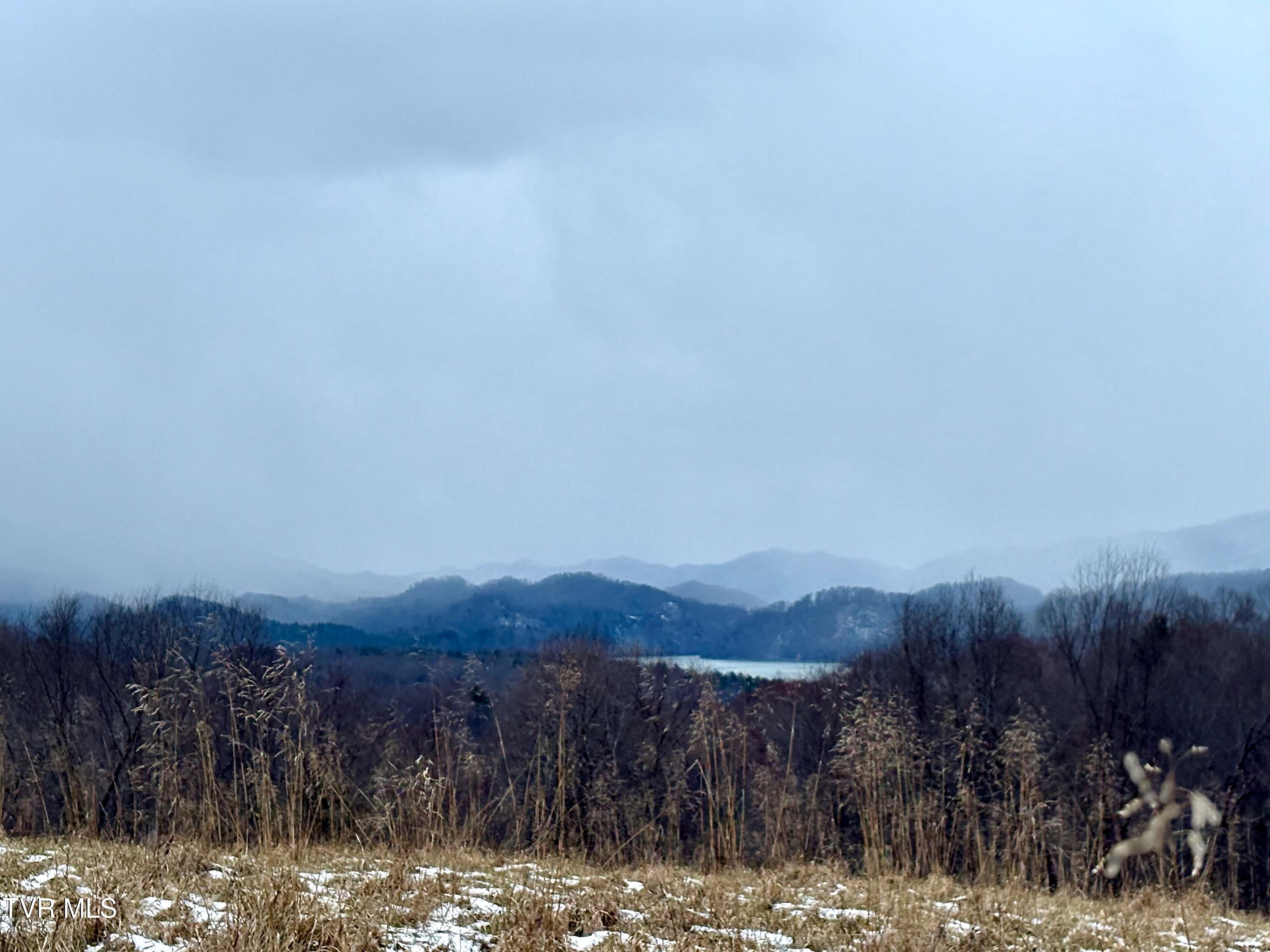 Tbd Maple Wood Drive Property Photo 15