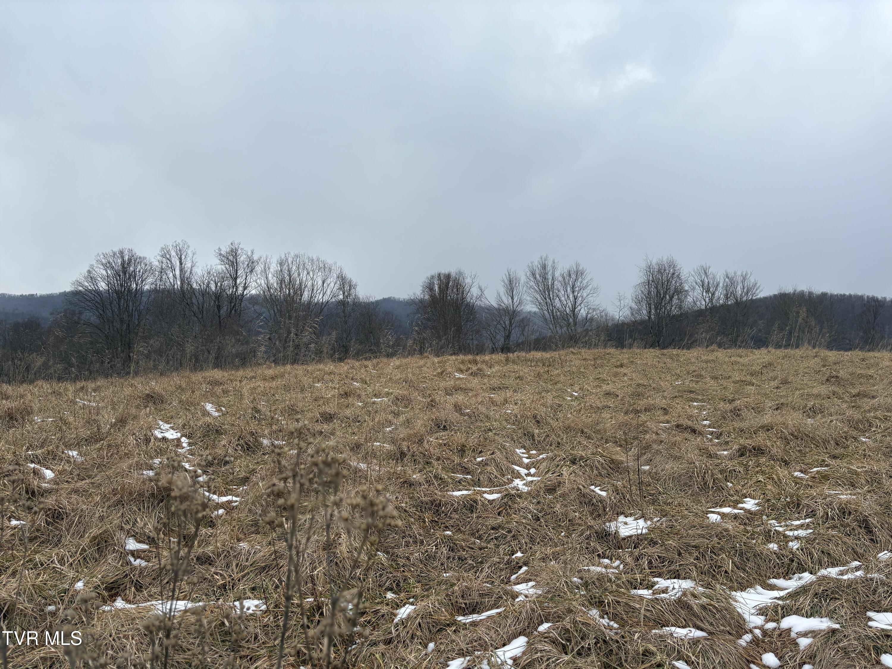 Tbd Maple Wood Drive Property Photo 18