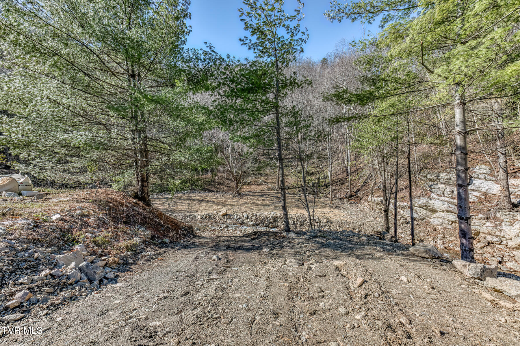 6826 Highway 421 Property Photo 4