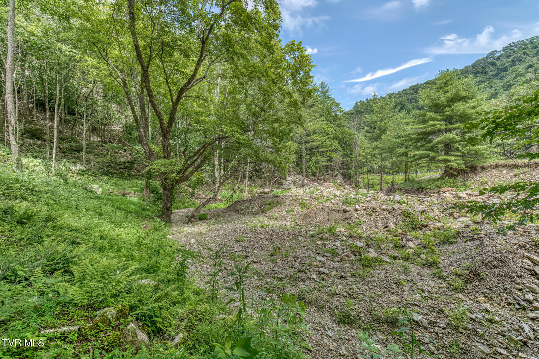 6826 Highway 421 Property Photo 11