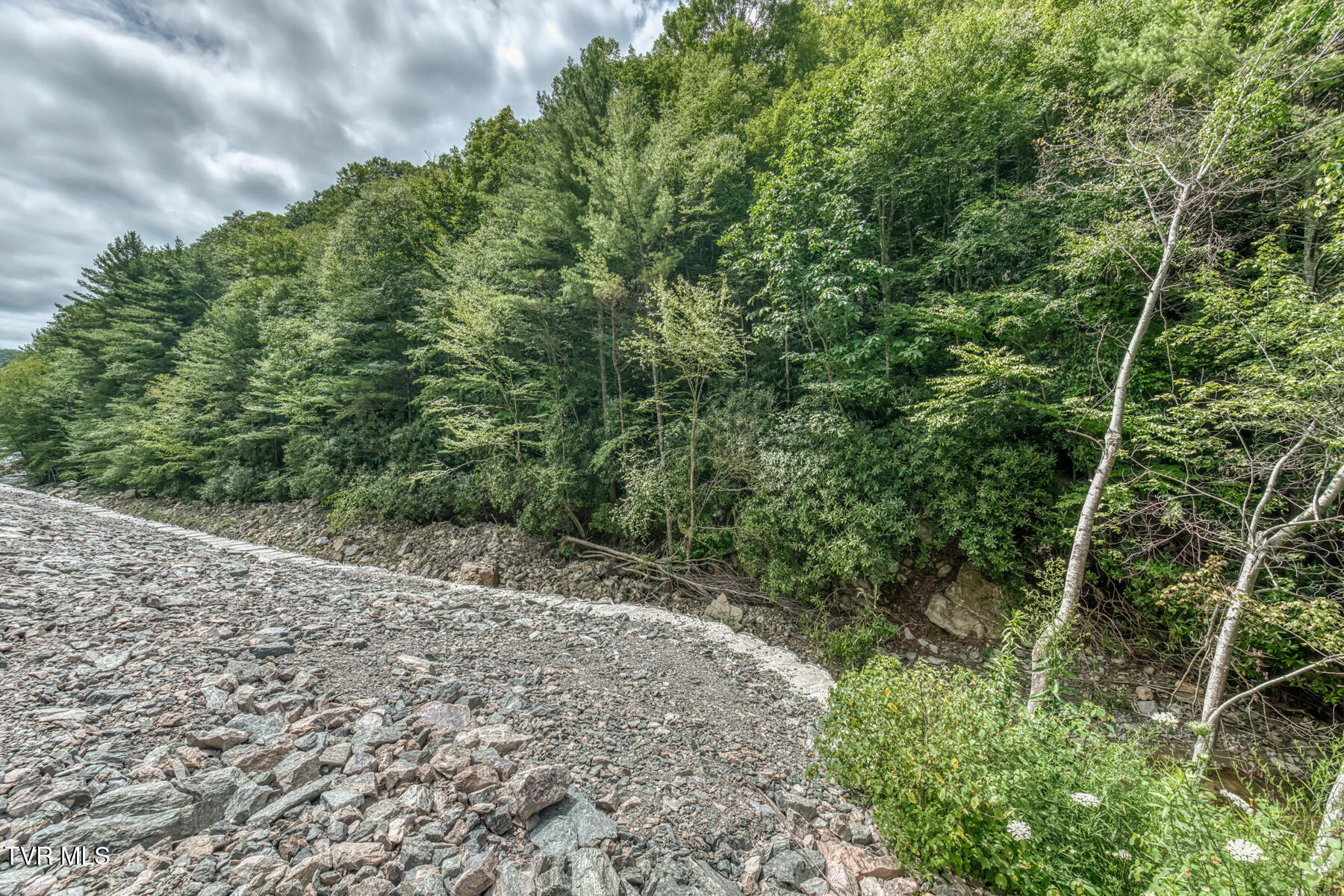 6826 Highway 421 Property Photo 18