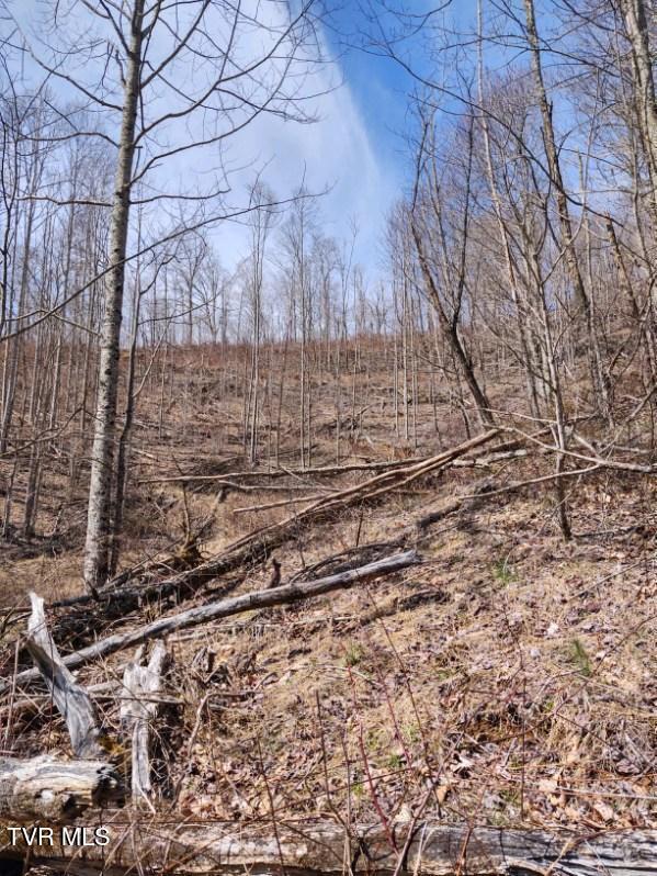 Tbd Miller Road Property Photo 2