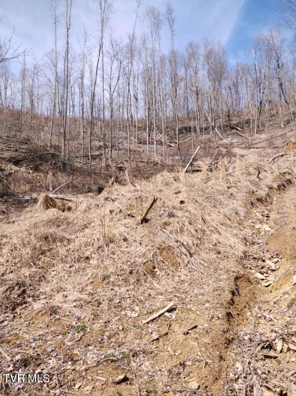 Tbd Miller Road Property Photo 4