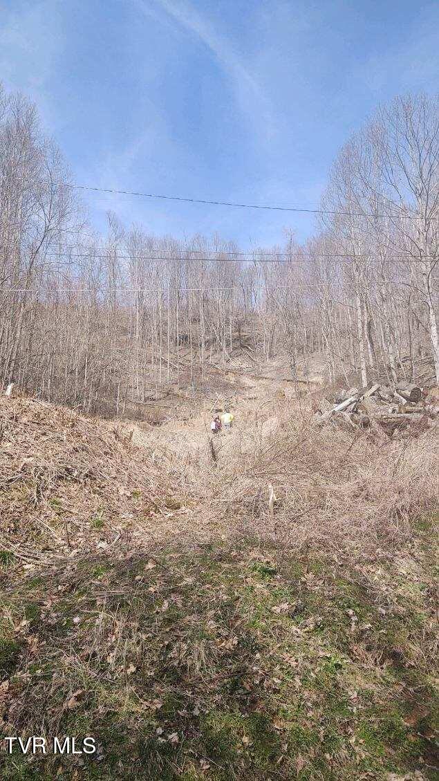 Tbd Miller Road Property Photo 5