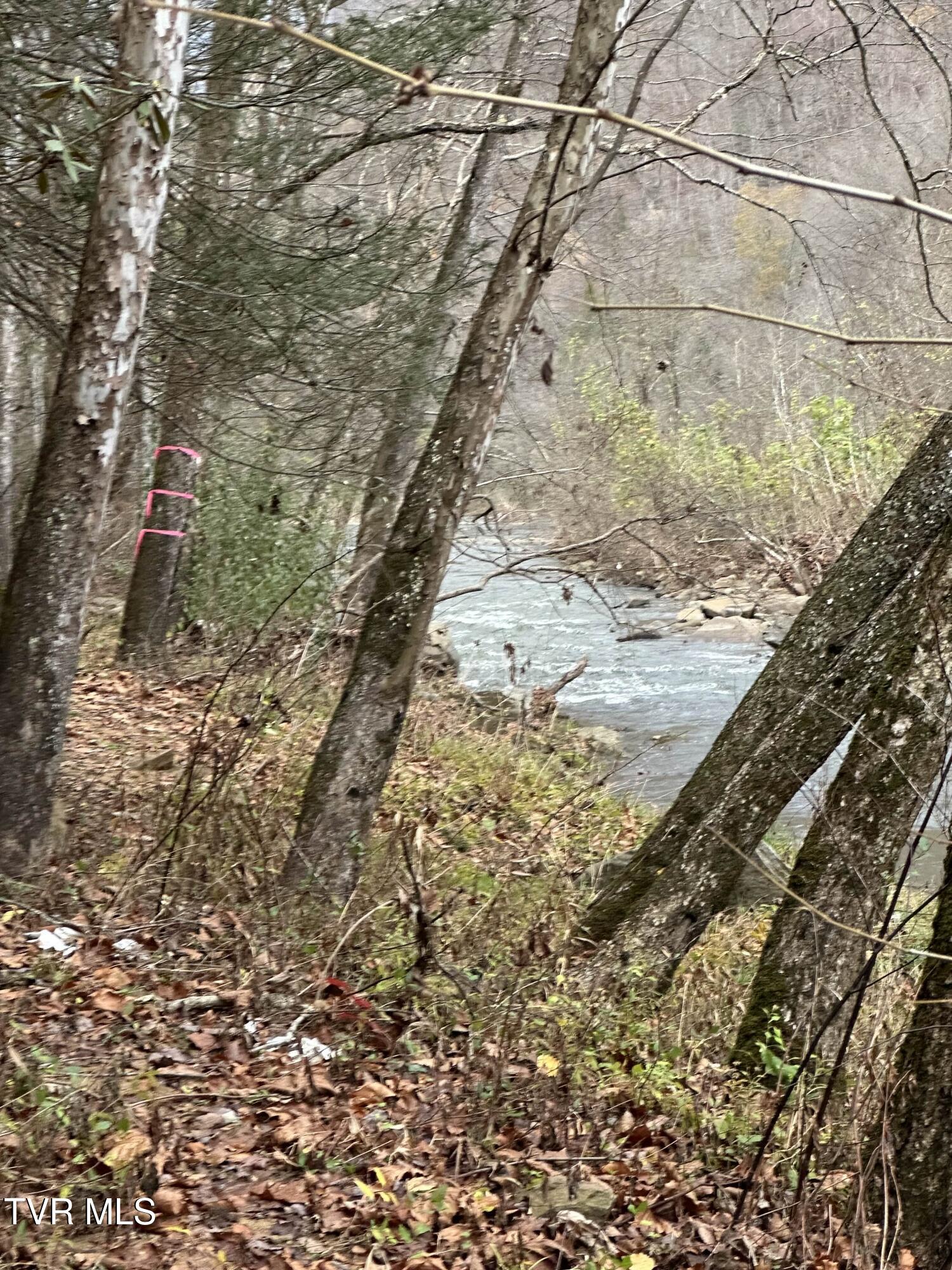 Tbd Retriever Lane Property Photo 3