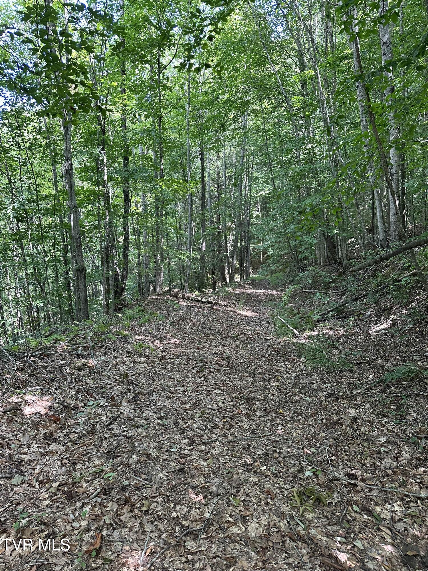 Tbd Retriever Lane Property Photo 4