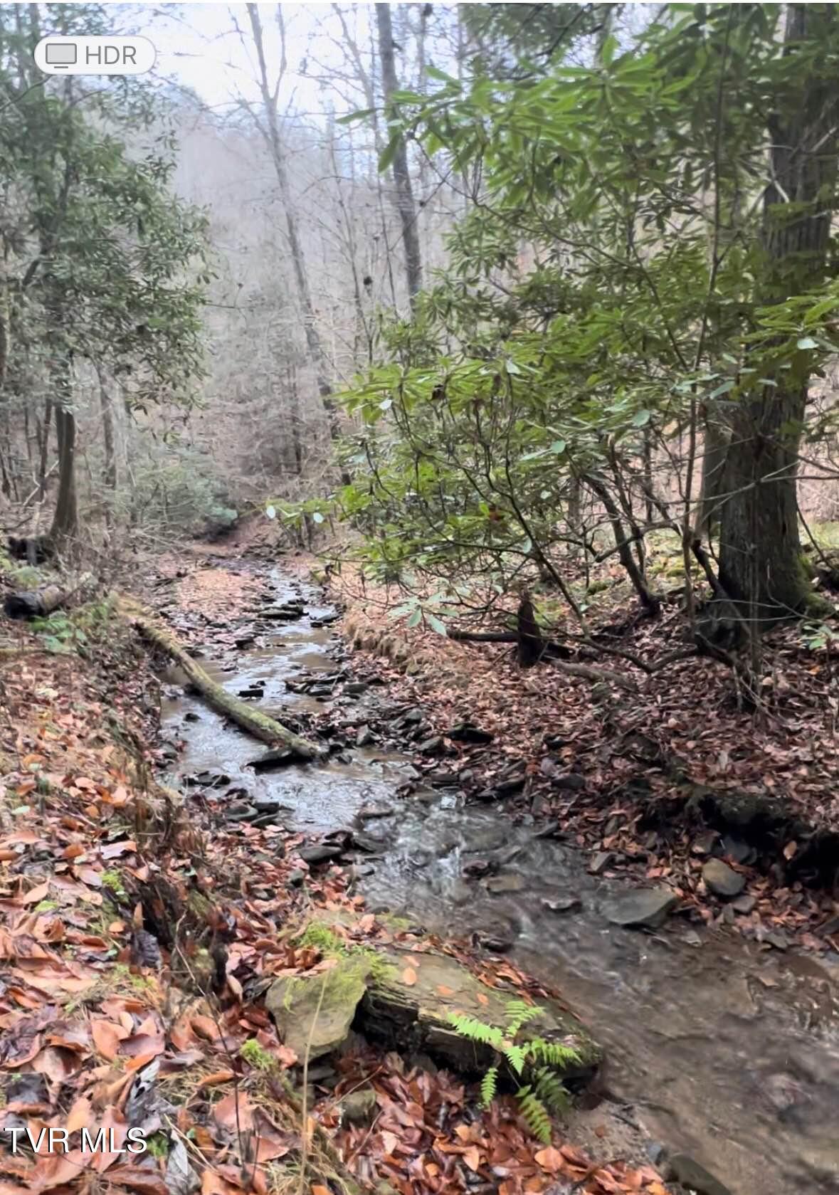 Tbd Retriever Lane Property Photo 5