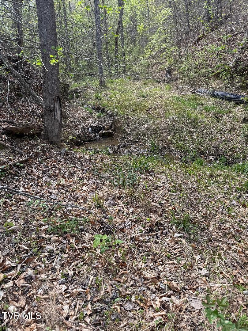 0 Pine Mountain Road Property Photo 3