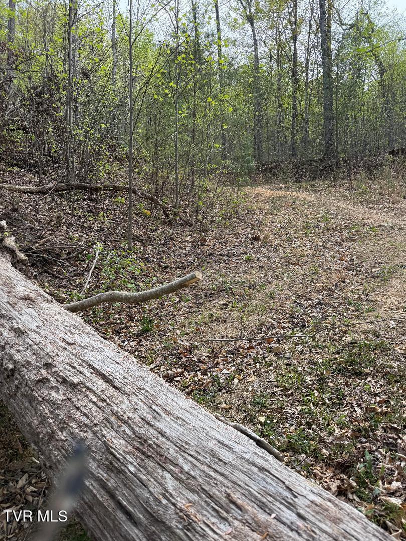 0 Pine Mountain Road Property Photo 4