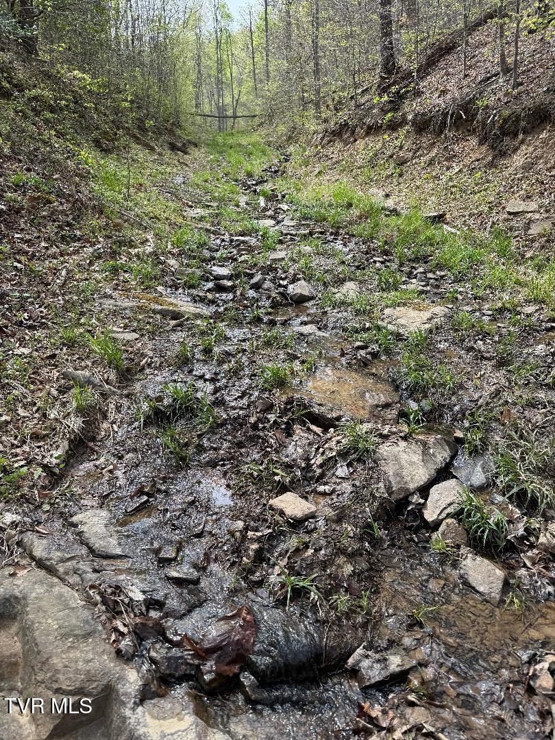 0 Pine Mountain Road Property Photo 6