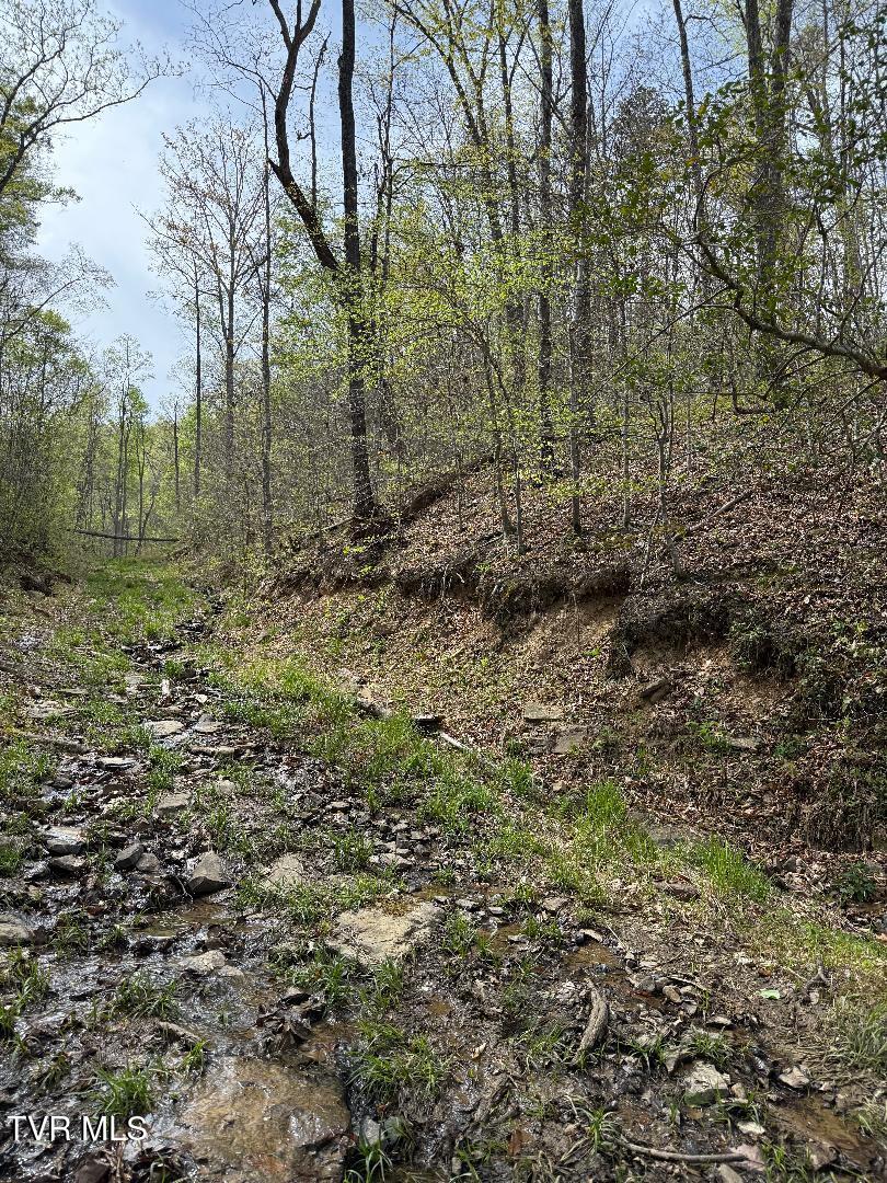 0 Pine Mountain Road Property Photo 7