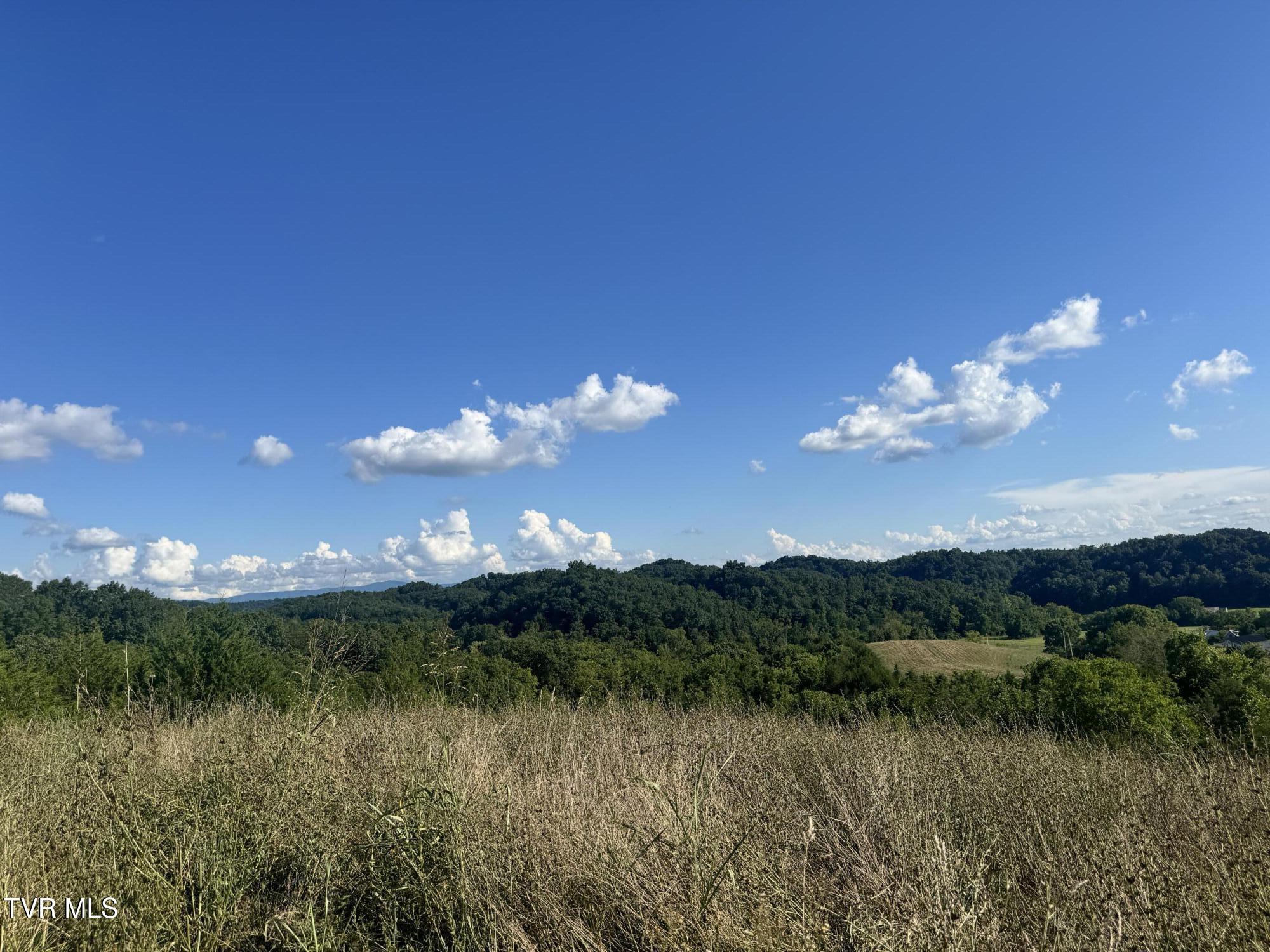 1430 Roaring Fork Road Property Photo 3