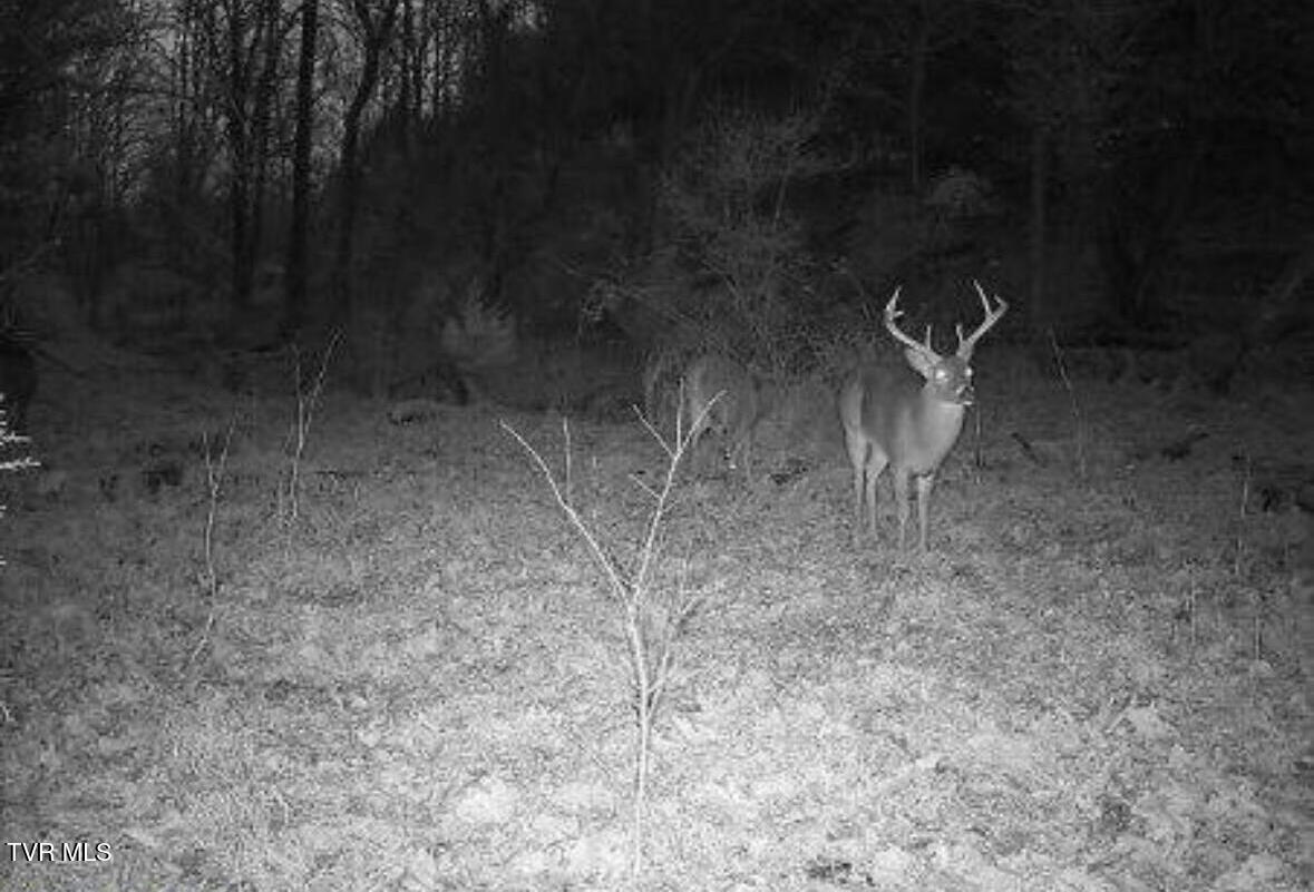 1430 Roaring Fork Road Property Photo 7