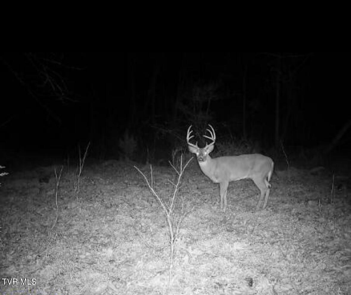 1430 Roaring Fork Road Property Photo 8