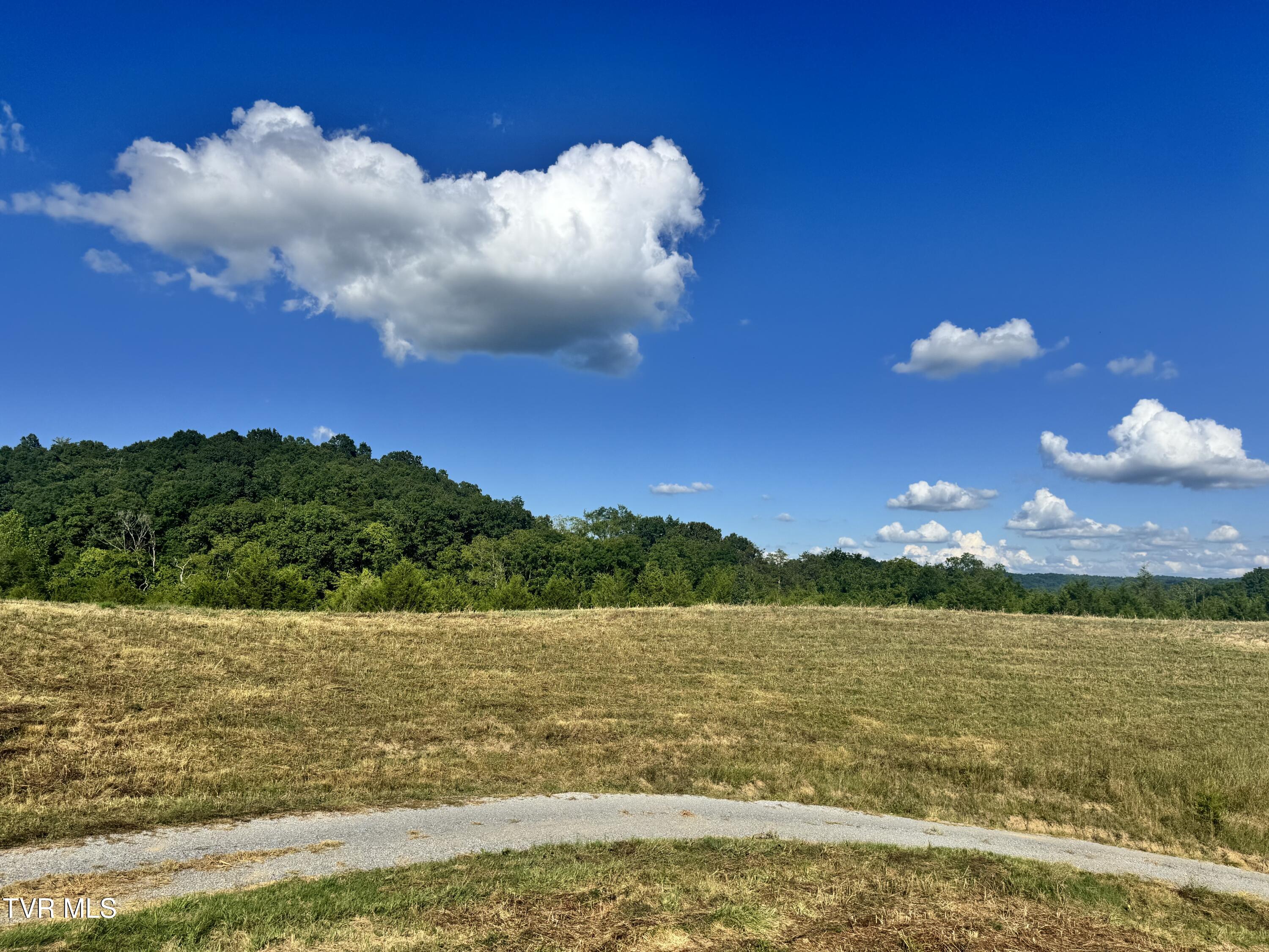 1430 Roaring Fork Road Property Photo 9