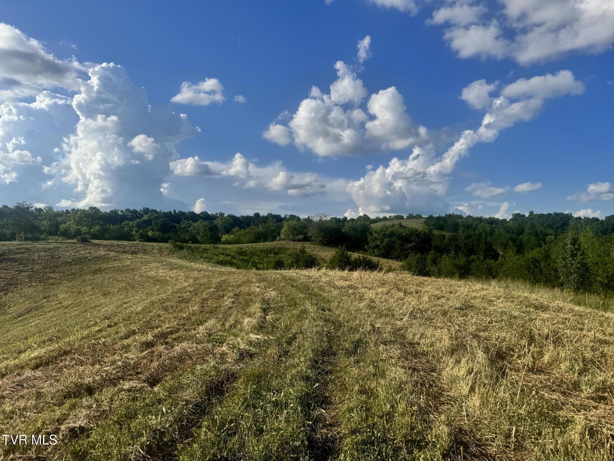 1430 Roaring Fork Road Property Photo 23