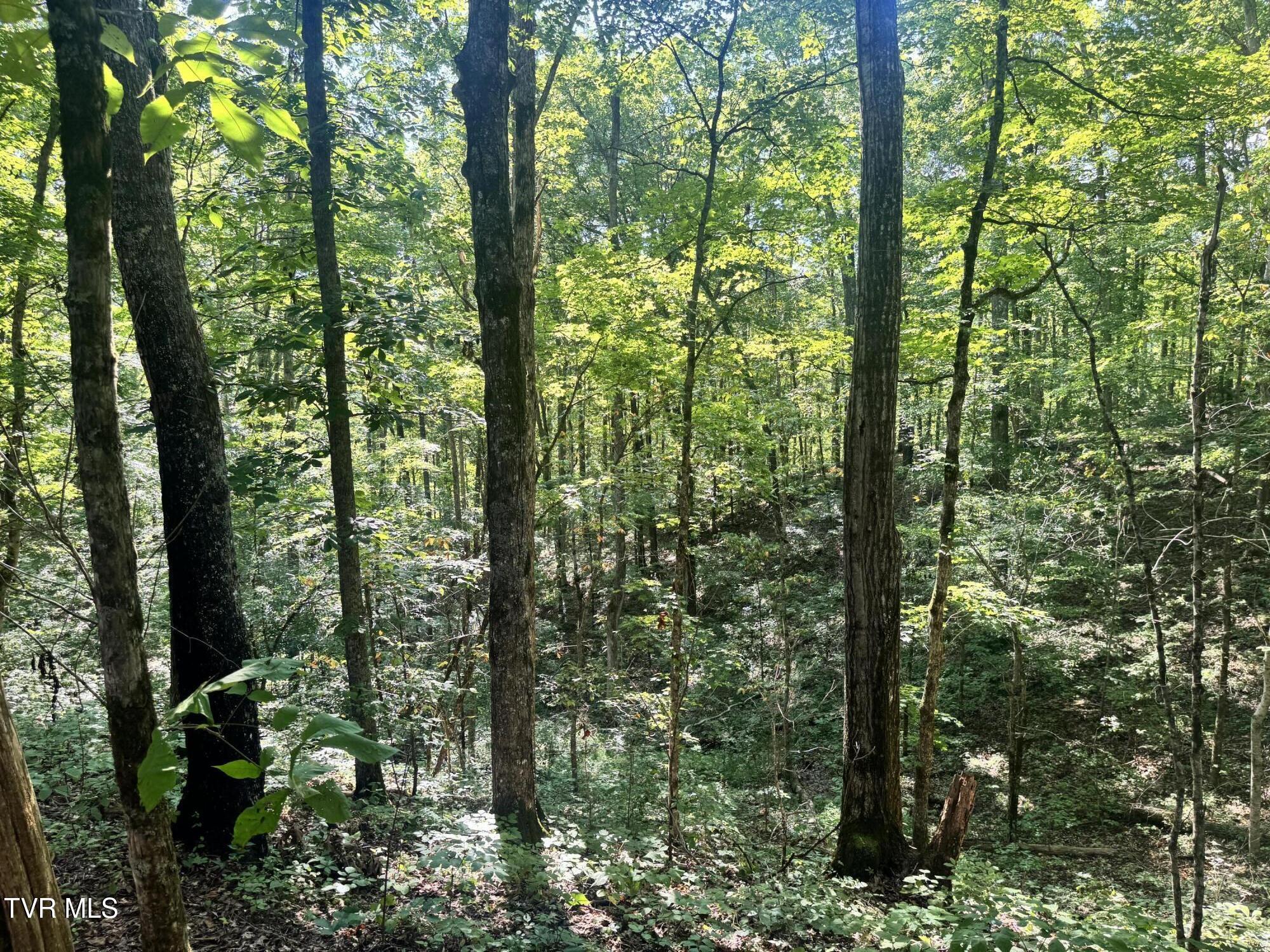 1430 Roaring Fork Road Property Photo 33