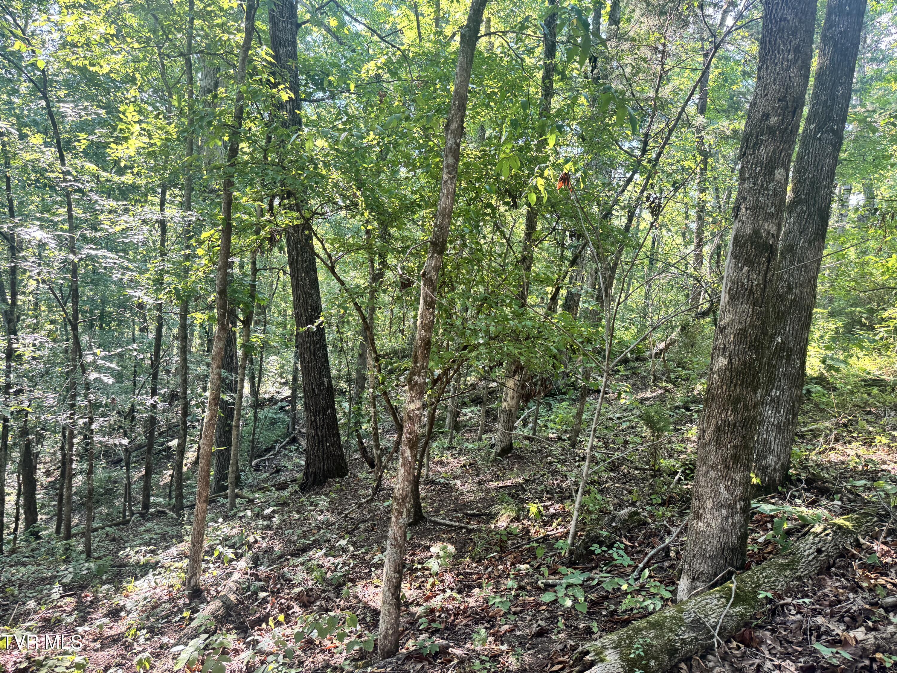 1430 Roaring Fork Road Property Photo 35